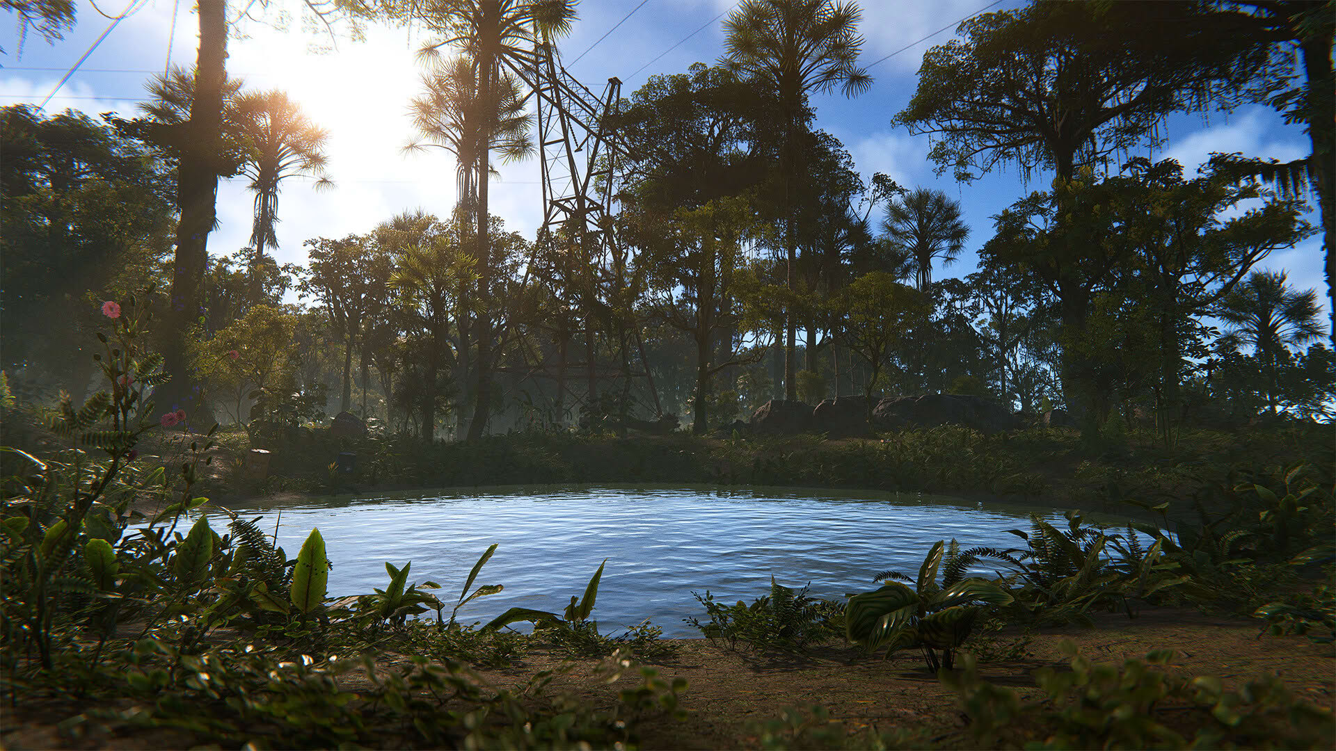 Screenshot for Rust