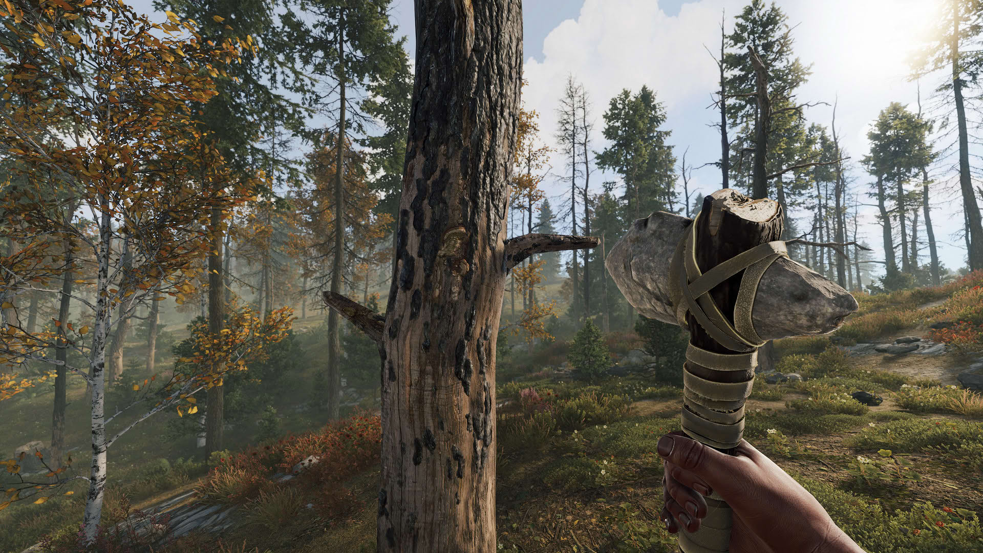 Screenshot for Rust