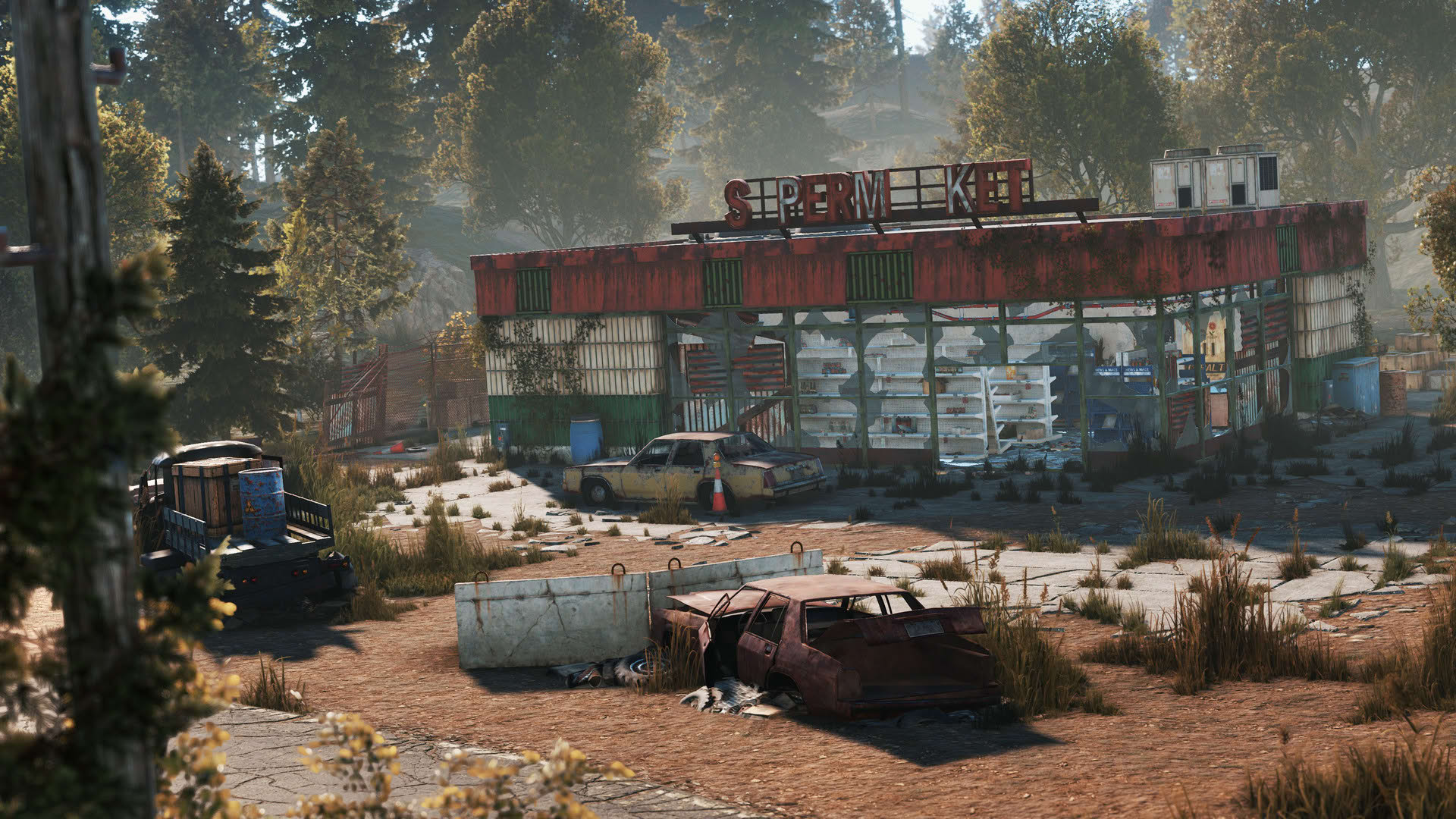 Screenshot for Rust