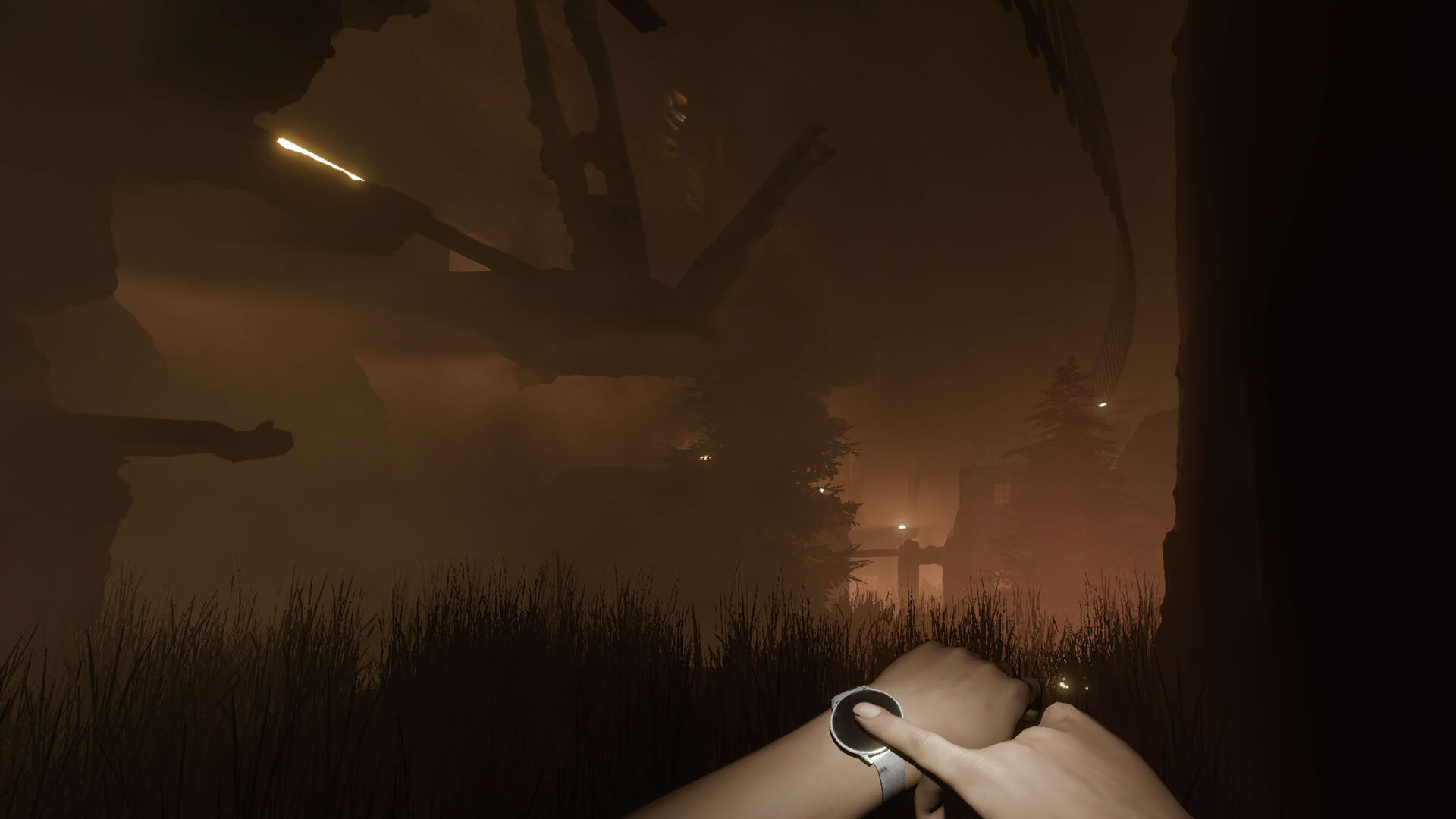 Screenshot for Sylvio: Black Waters