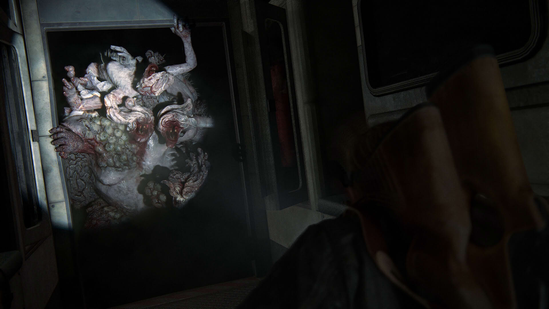 Screenshot for The Last of Us Part II Remastered