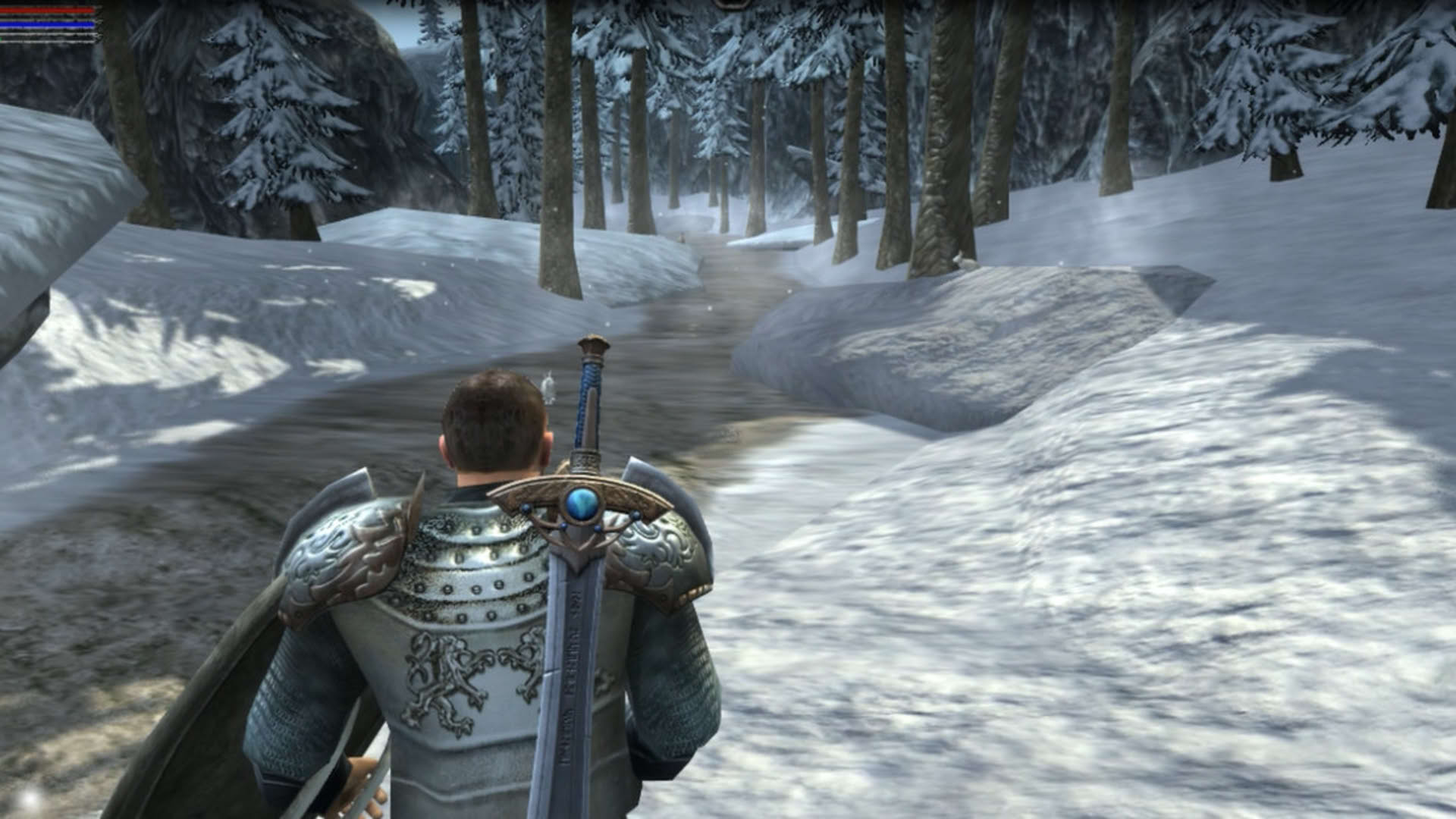 Screenshot for Ravensword: Shadowlands