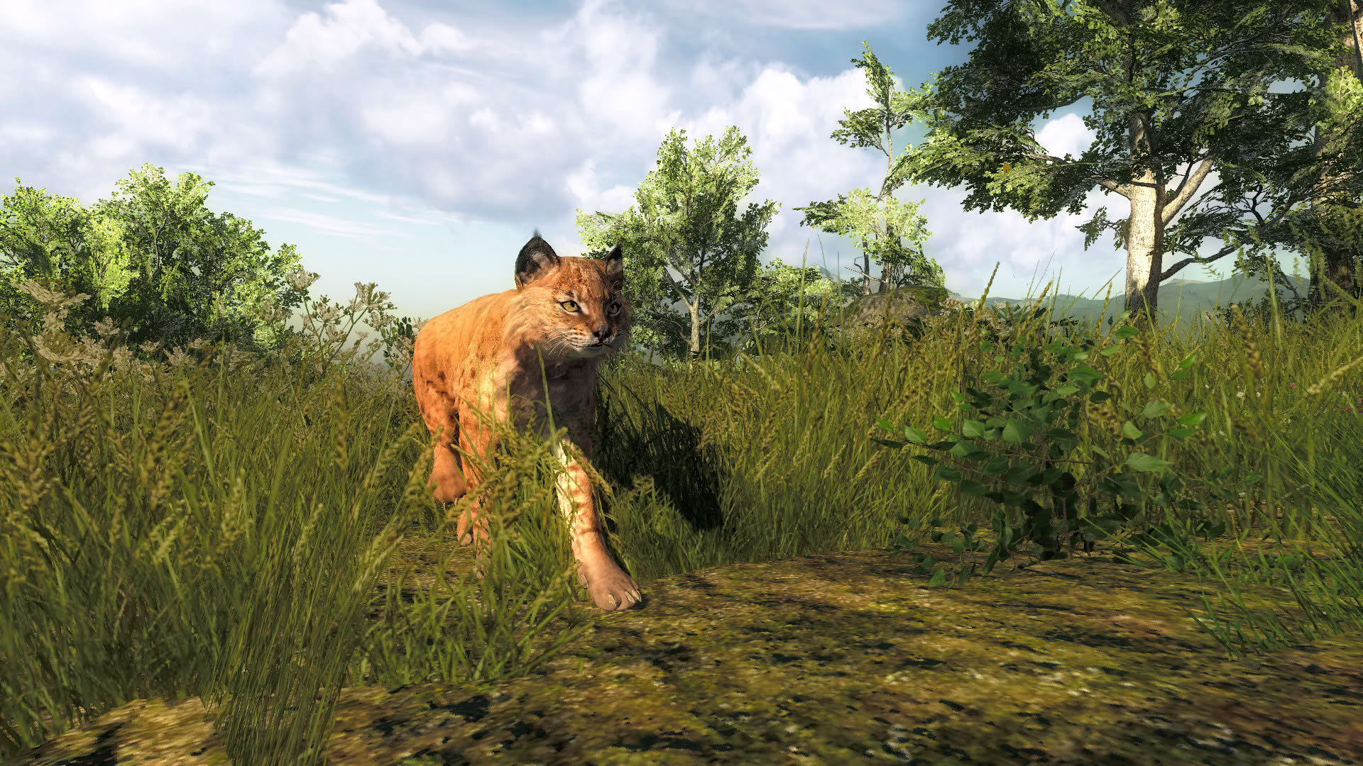 Screenshot for TheHunter Classic