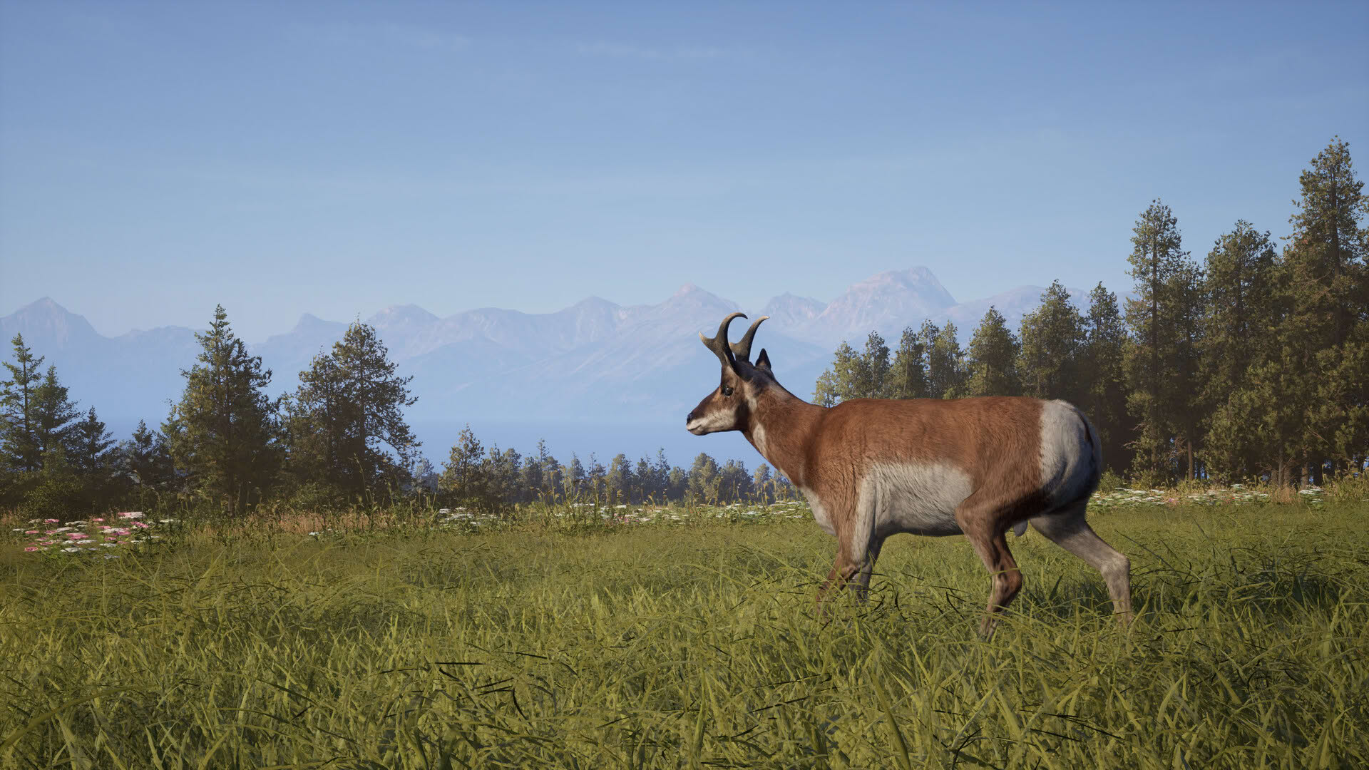 Screenshot for Way of the Hunter 2