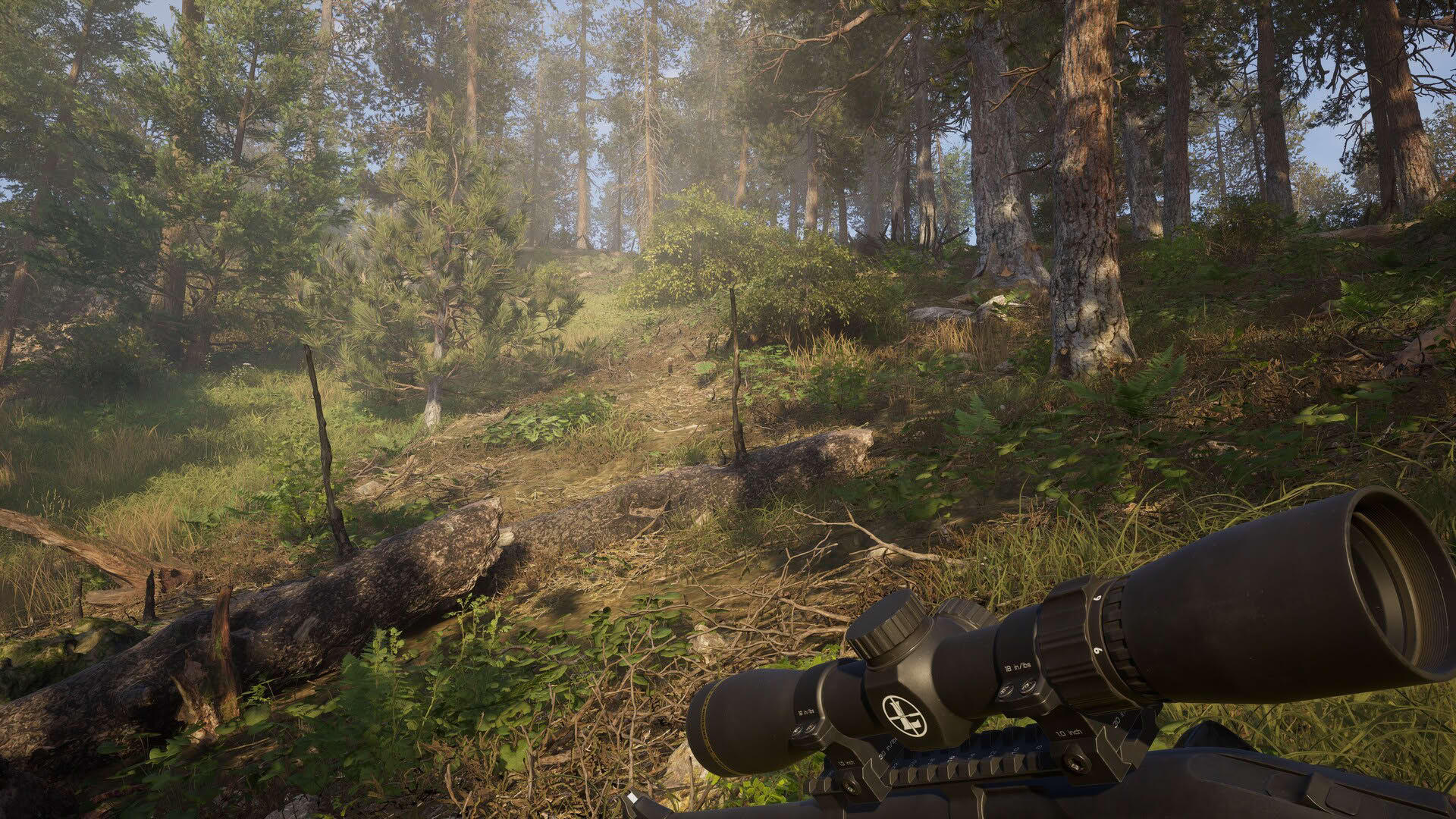 Screenshot for Way of the Hunter 2
