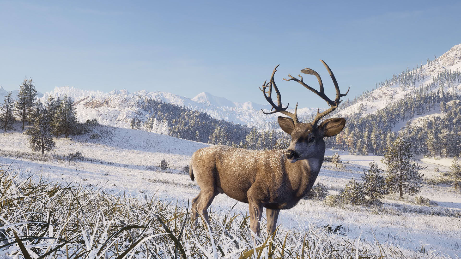 Screenshot for Way of the Hunter 2