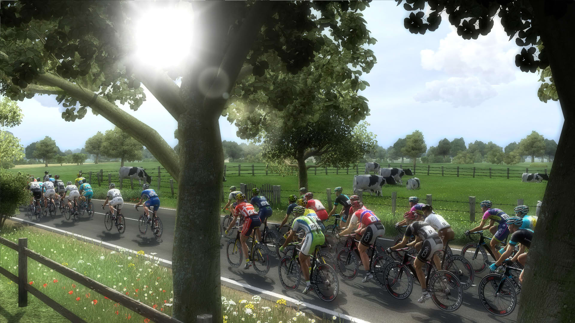 Screenshot for Pro Cycling Manager 2014
