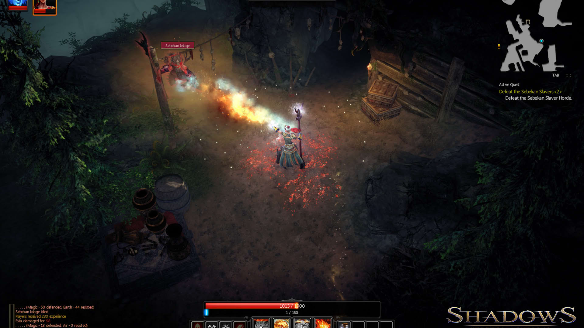 Screenshot for Shadows: Heretic Kingdoms