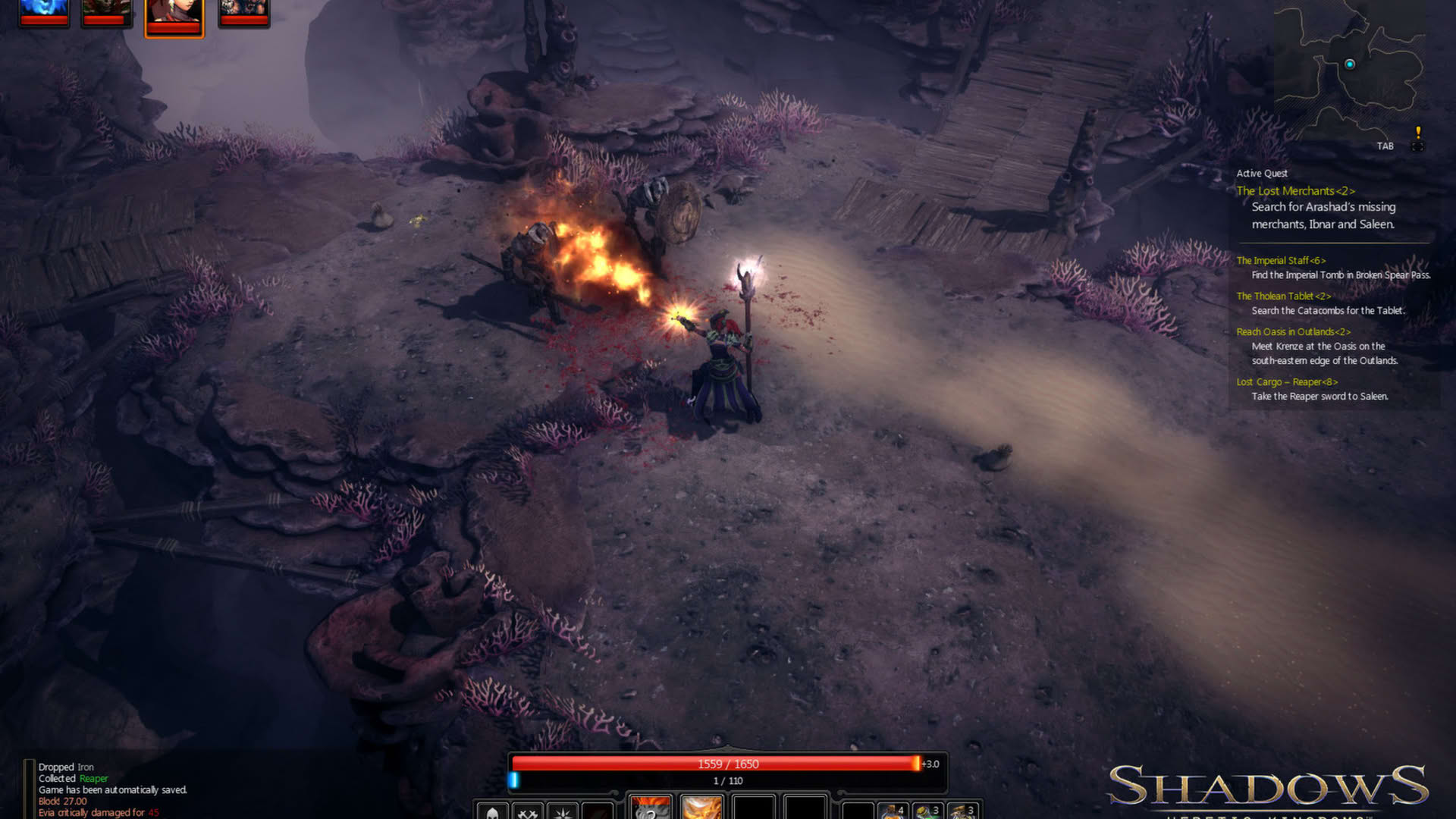 Screenshot for Shadows: Heretic Kingdoms
