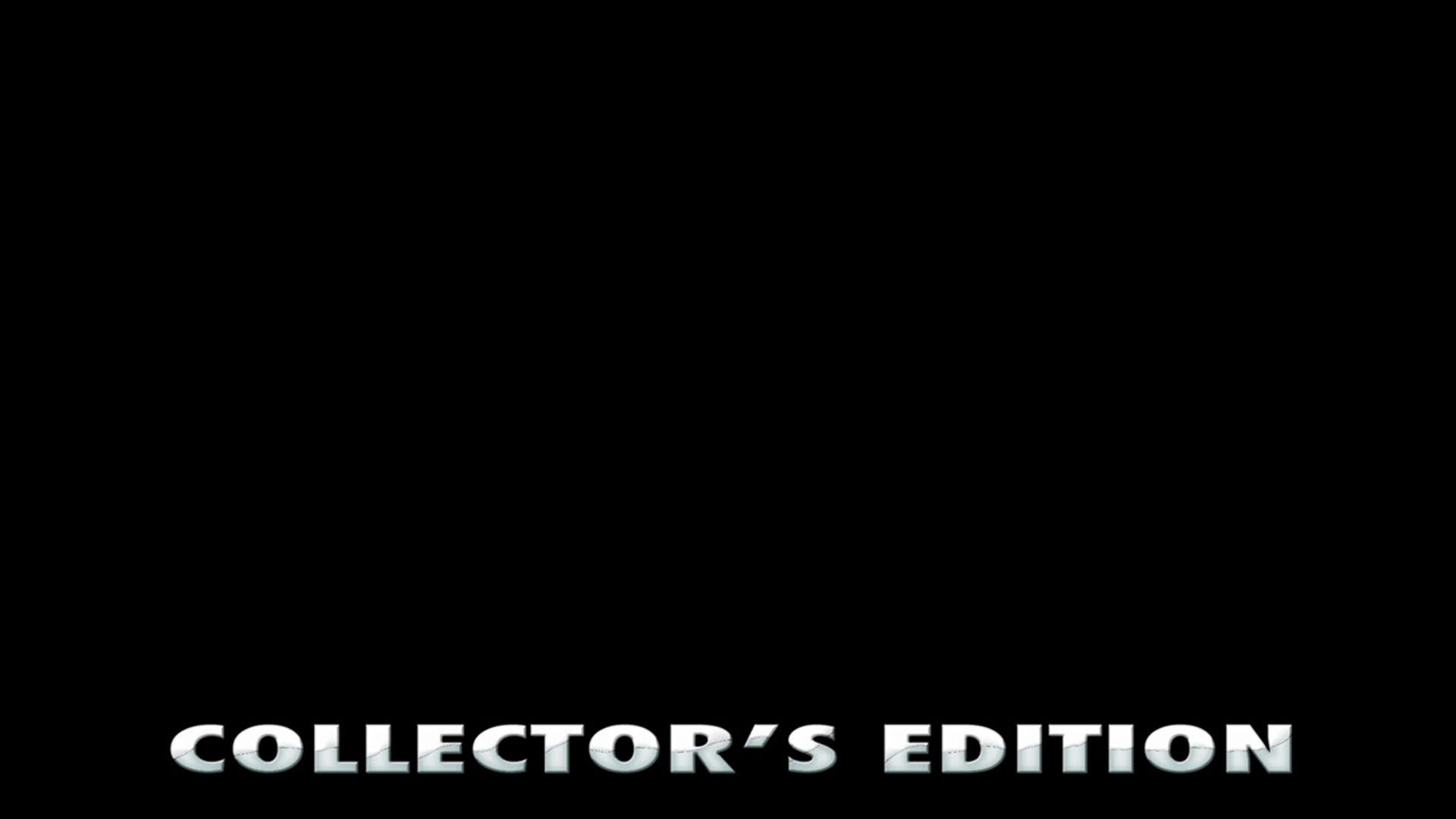 Screenshot for Lost & Found Agency: Collector's Edition