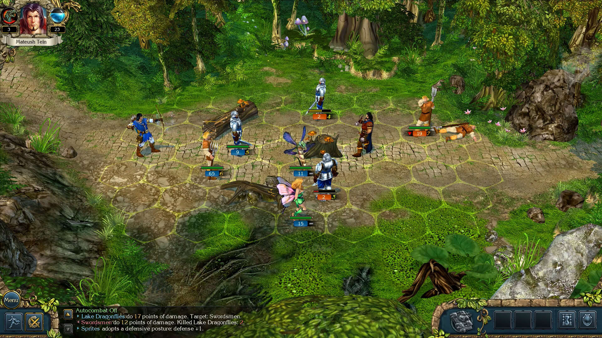 Screenshot for King's Bounty: The Legend