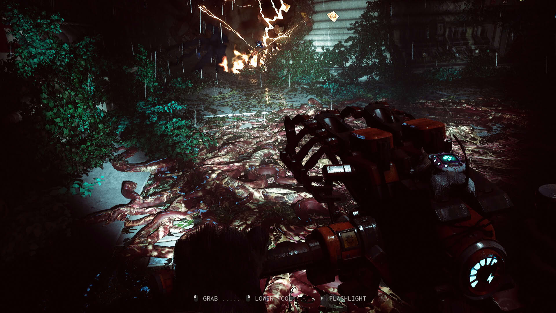 Screenshot for Animal Use Protocol
