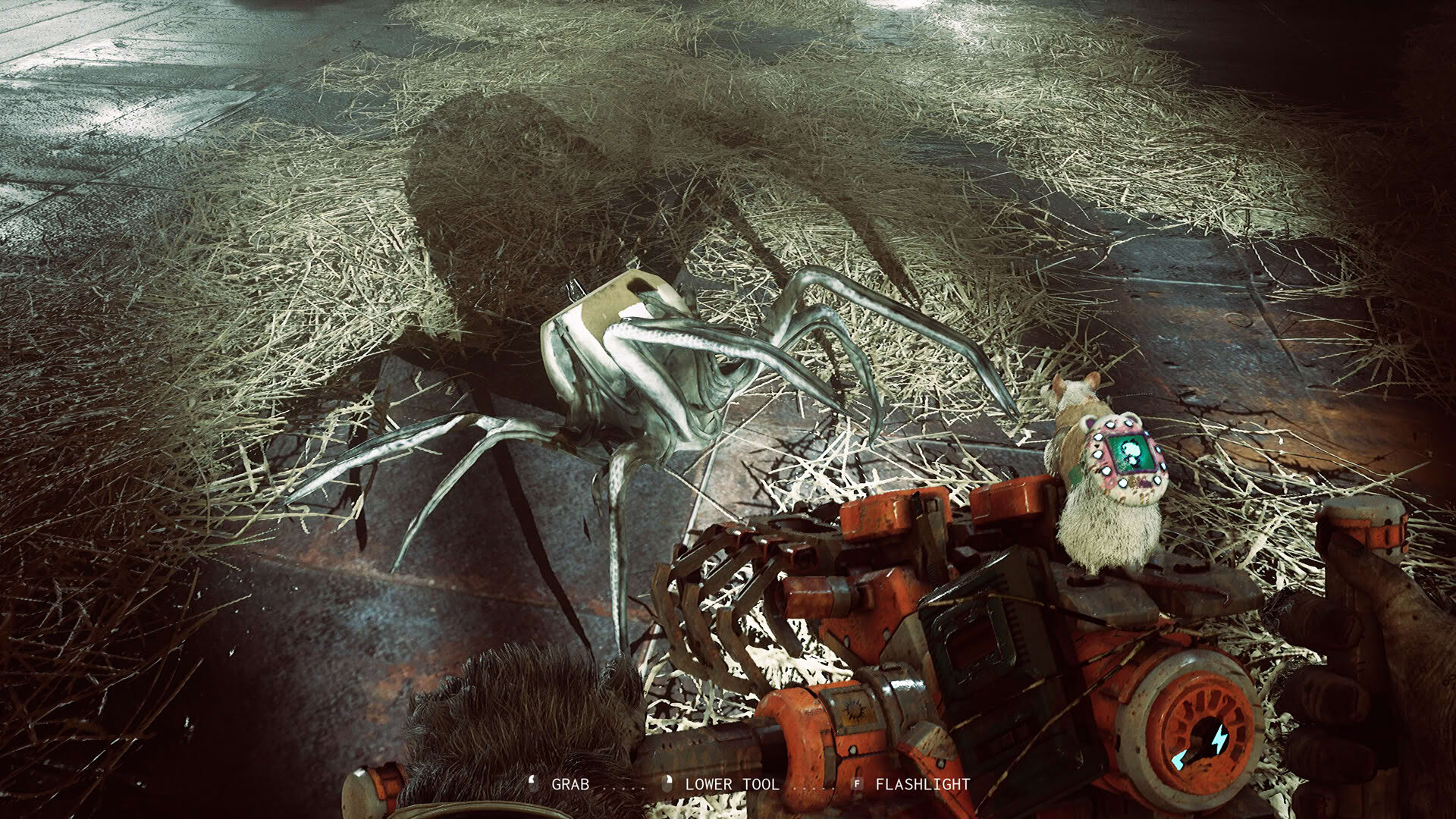 Screenshot for Animal Use Protocol