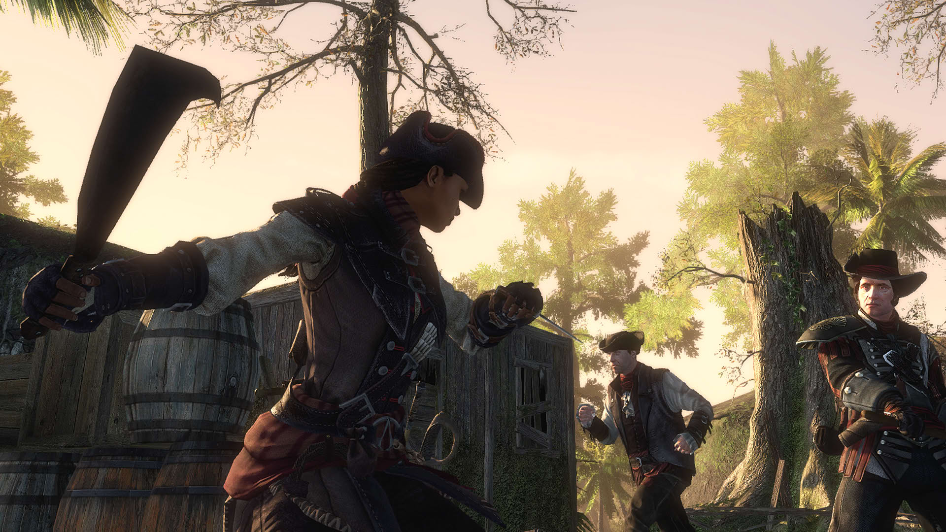 Screenshot for Assassin's Creed III: Liberation