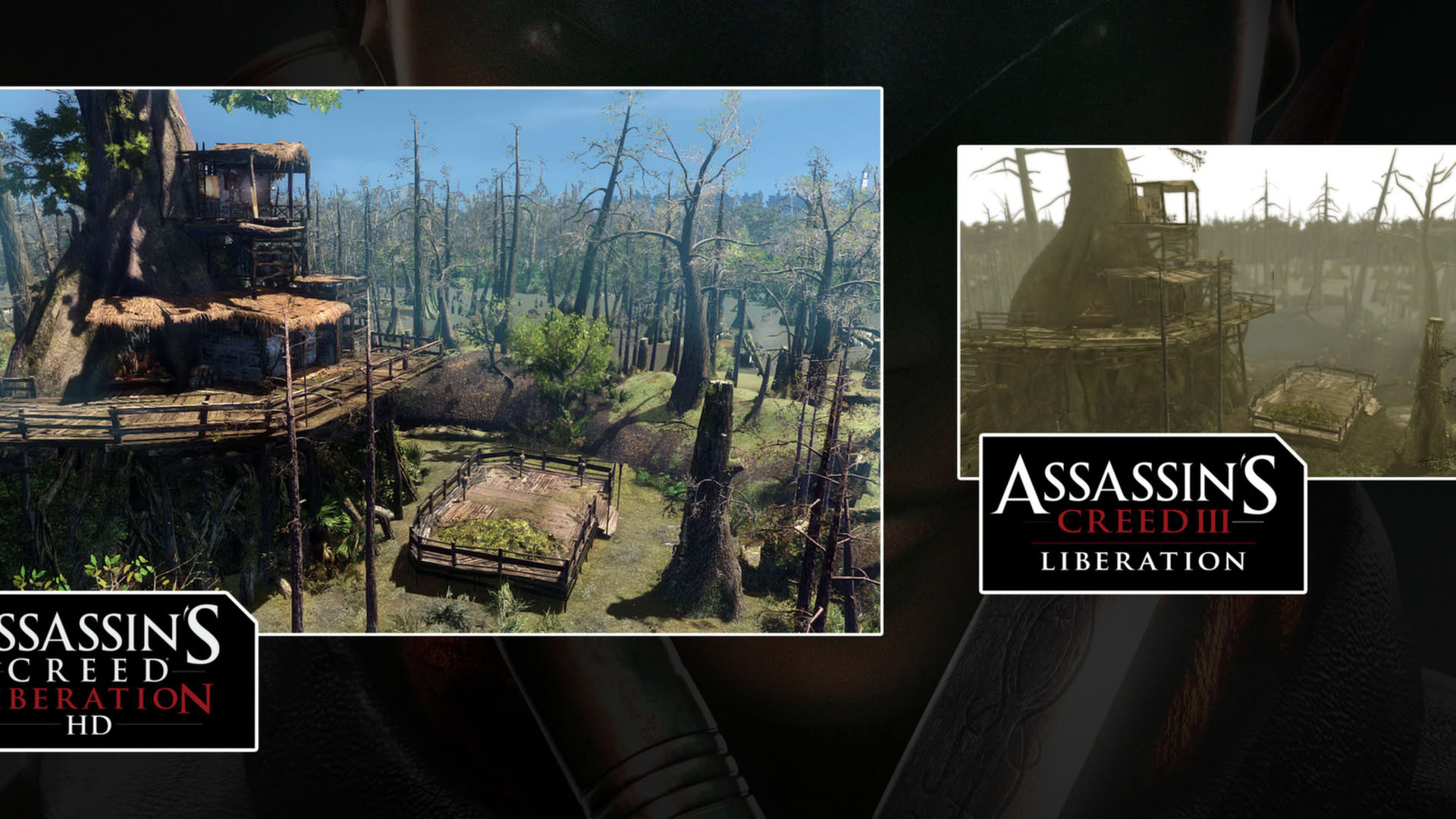 Screenshot for Assassin's Creed III: Liberation