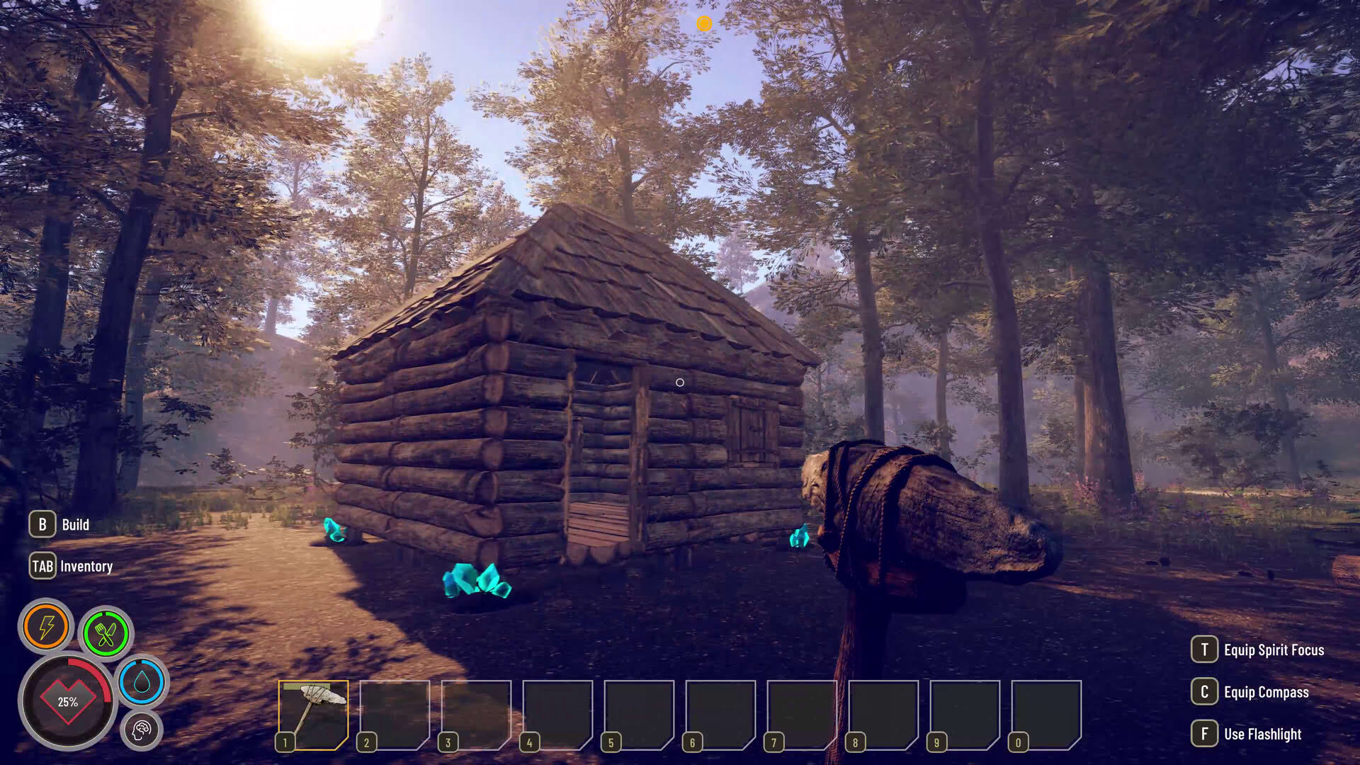 Screenshot for Solitude