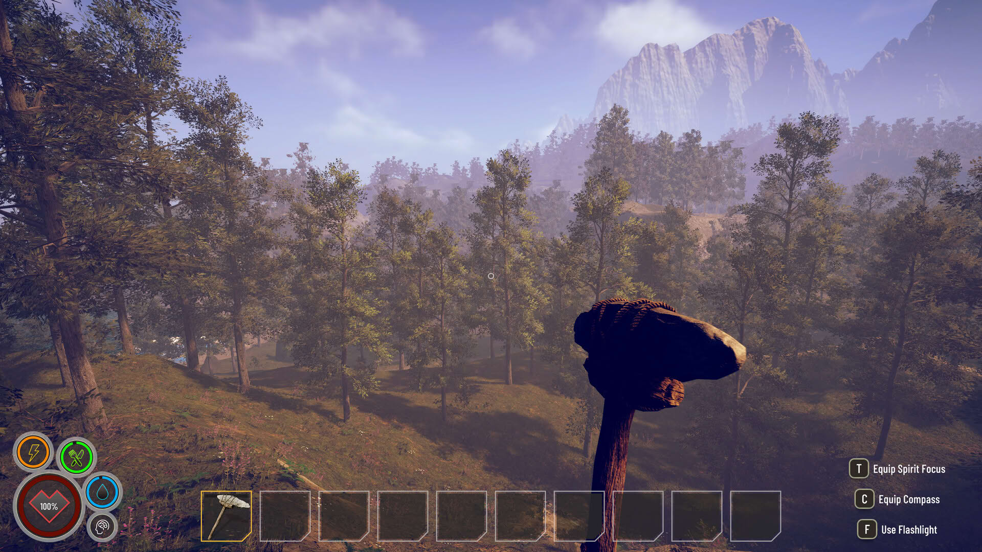 Screenshot for Solitude