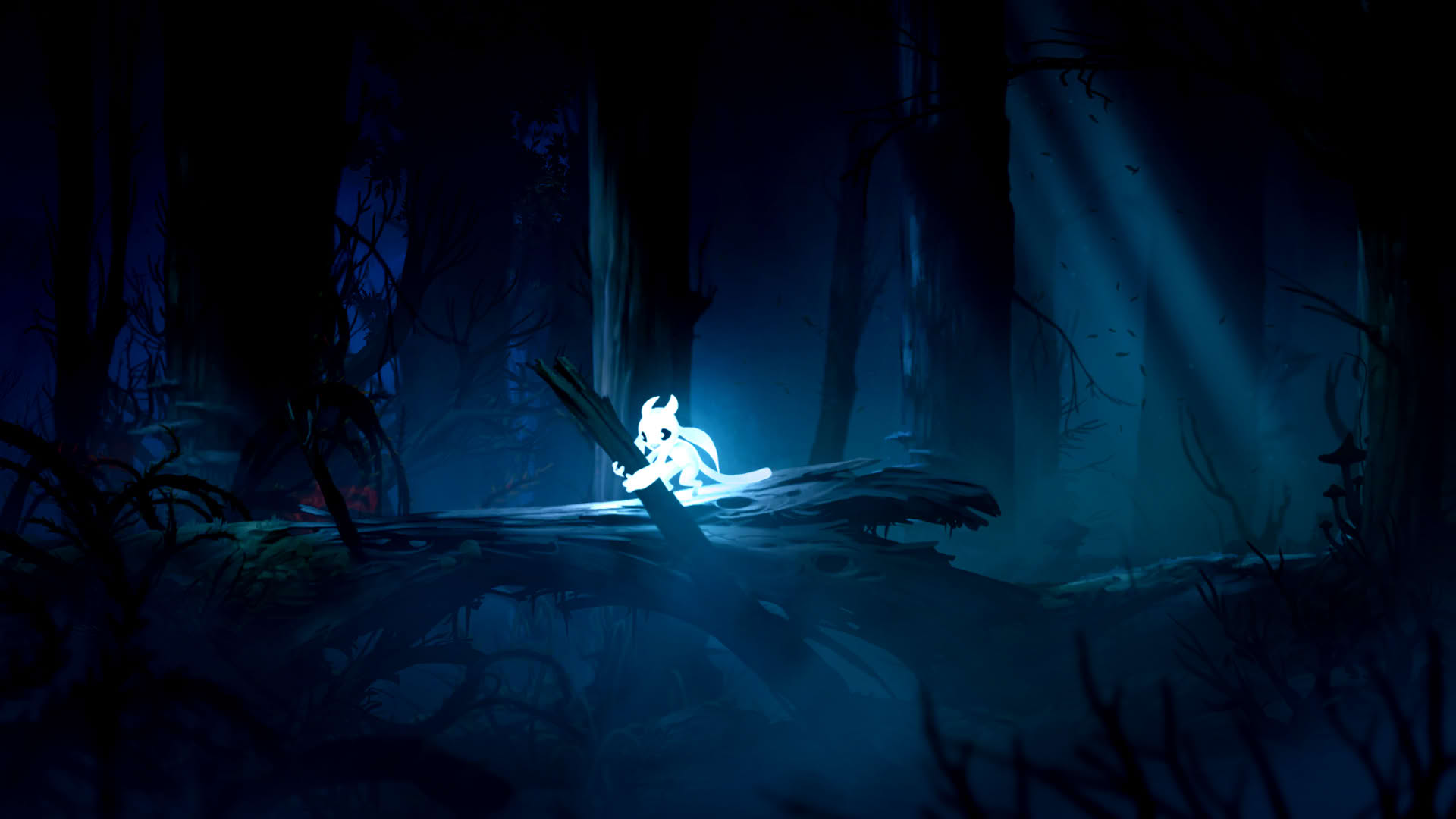 Screenshot for Ori and the Blind Forest