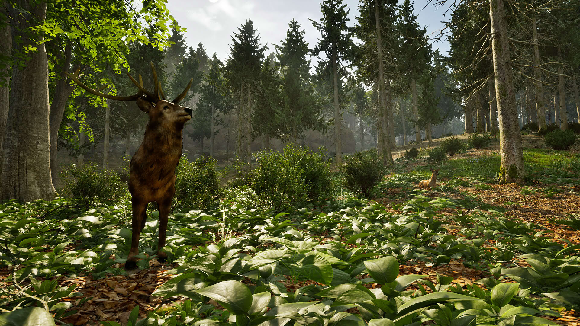 Screenshot for Park Ranger Simulator