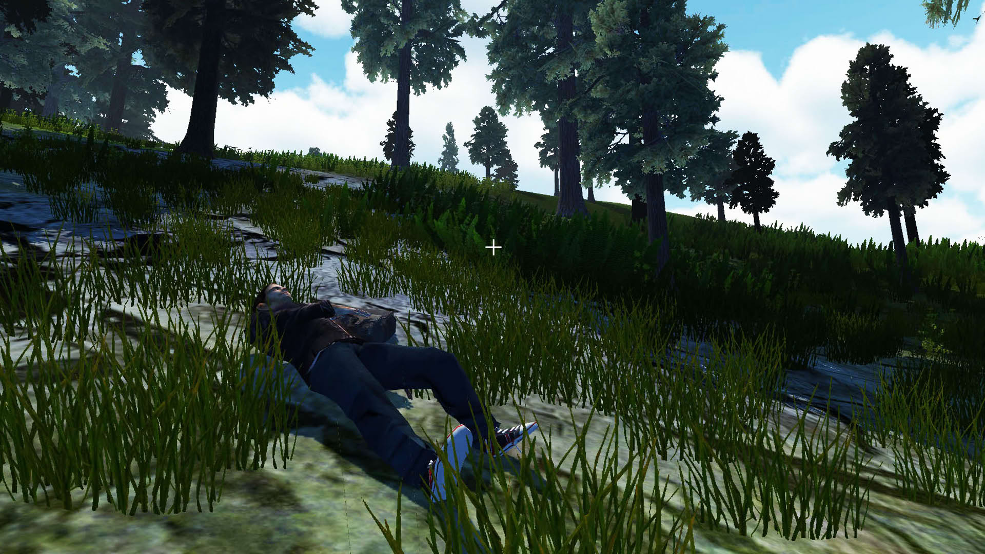 Screenshot for Recovery Search and Rescue Simulation