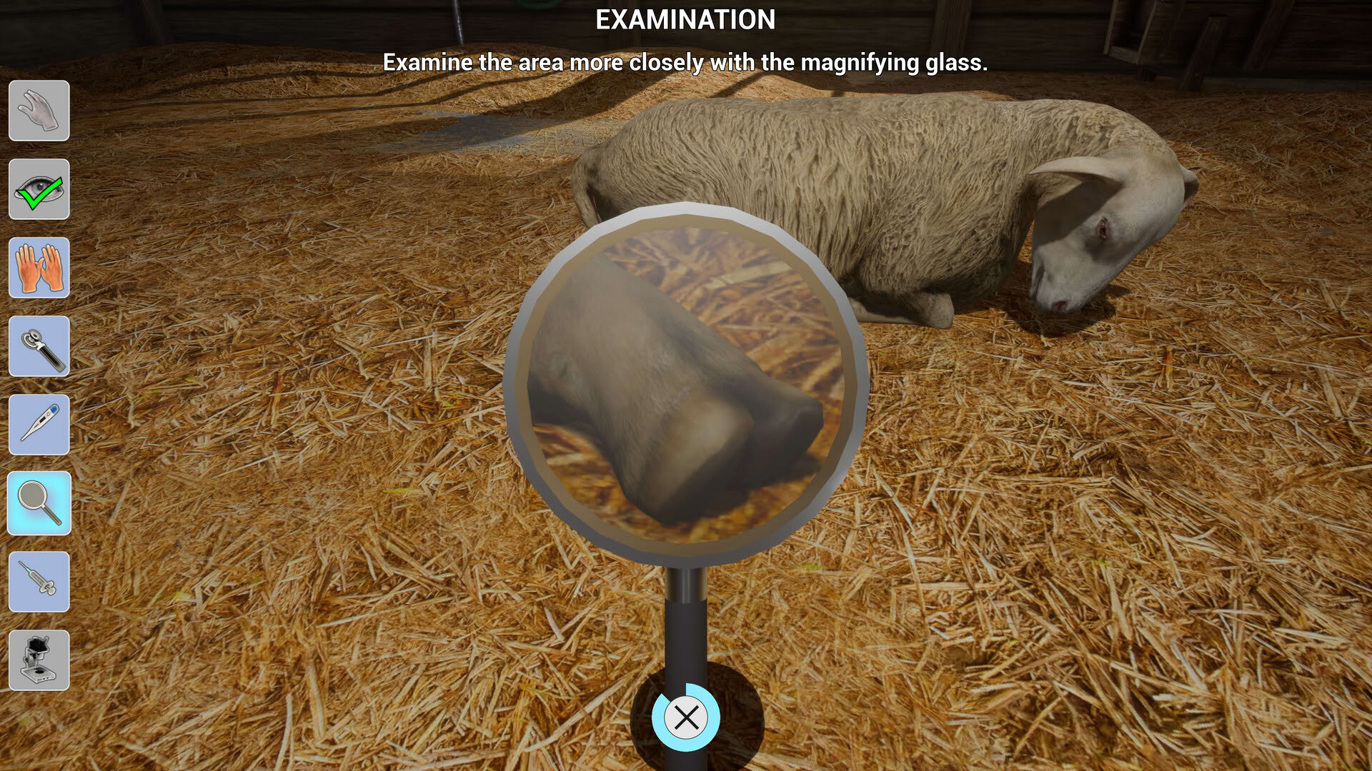 Screenshot for My Life: Farm Vet