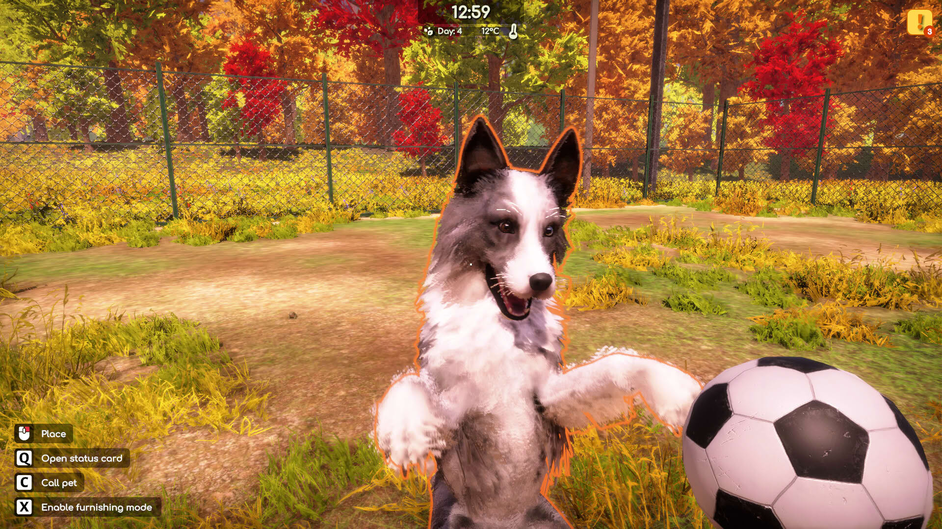 Screenshot for Animal Shelter 2