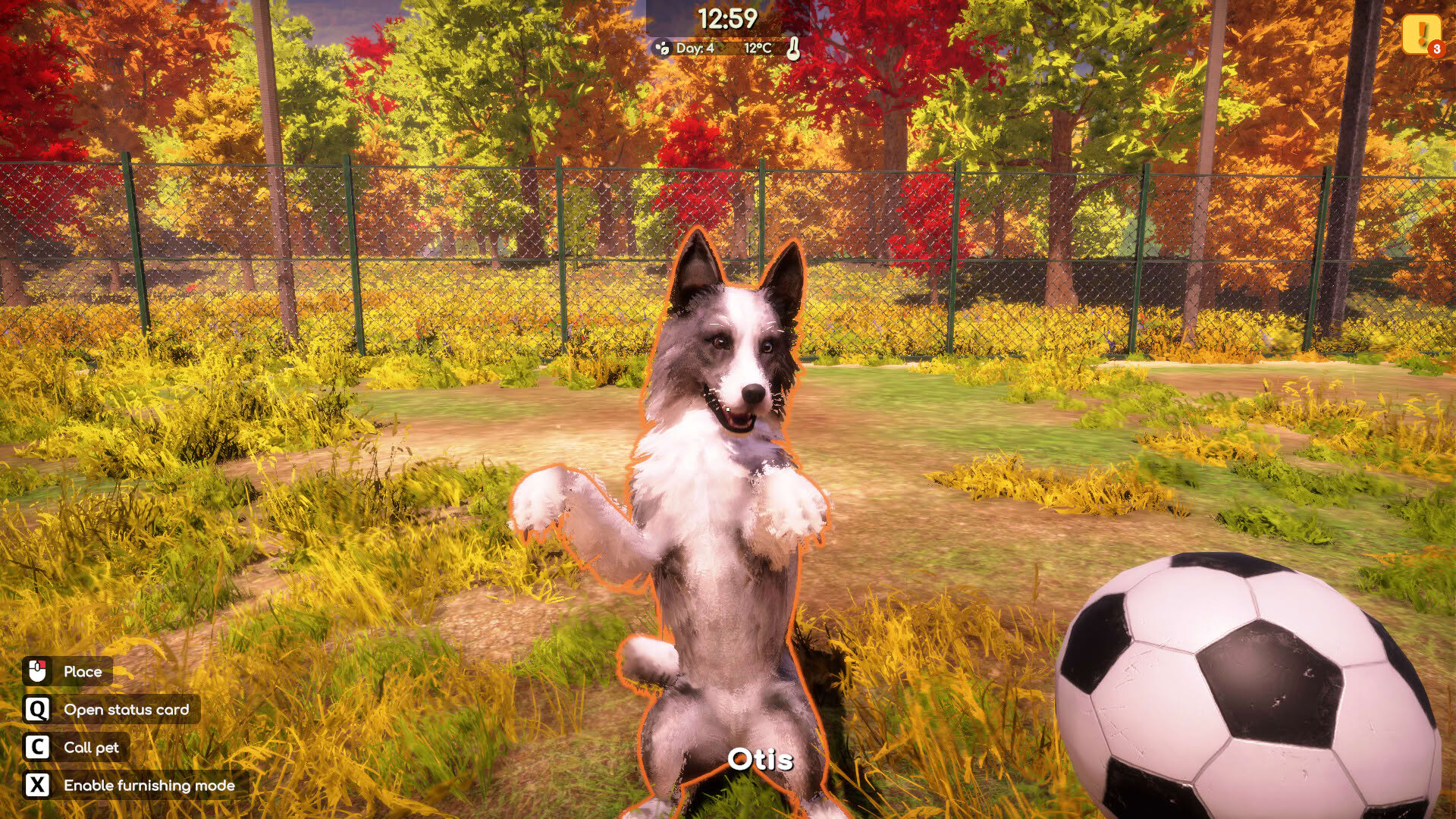 Screenshot for Animal Shelter 2