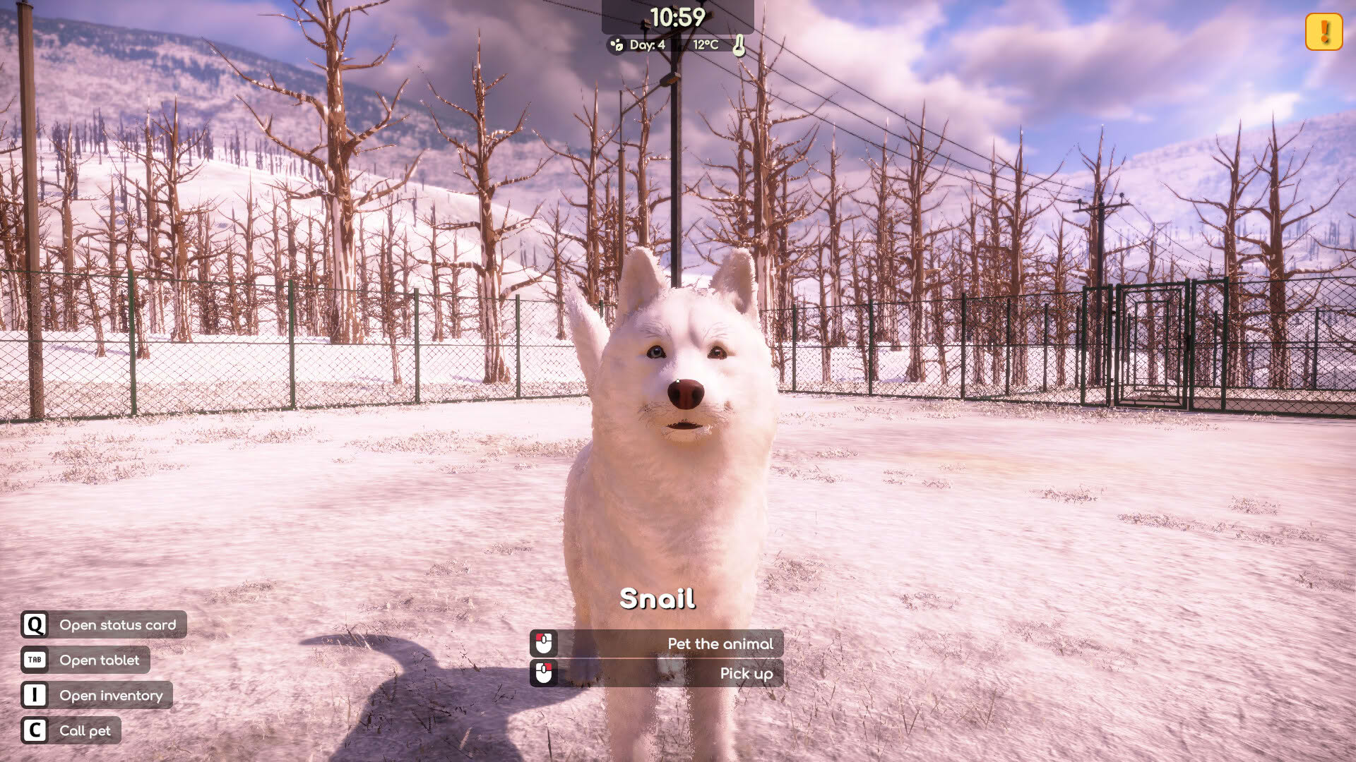 Screenshot for Animal Shelter 2