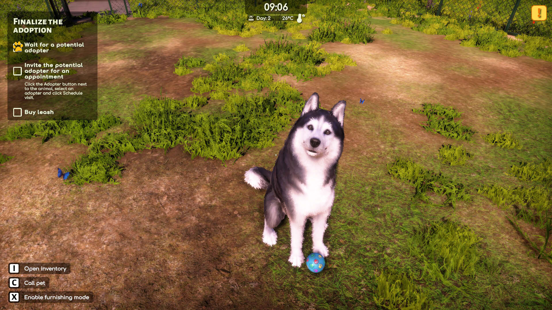 Screenshot for Animal Shelter 2
