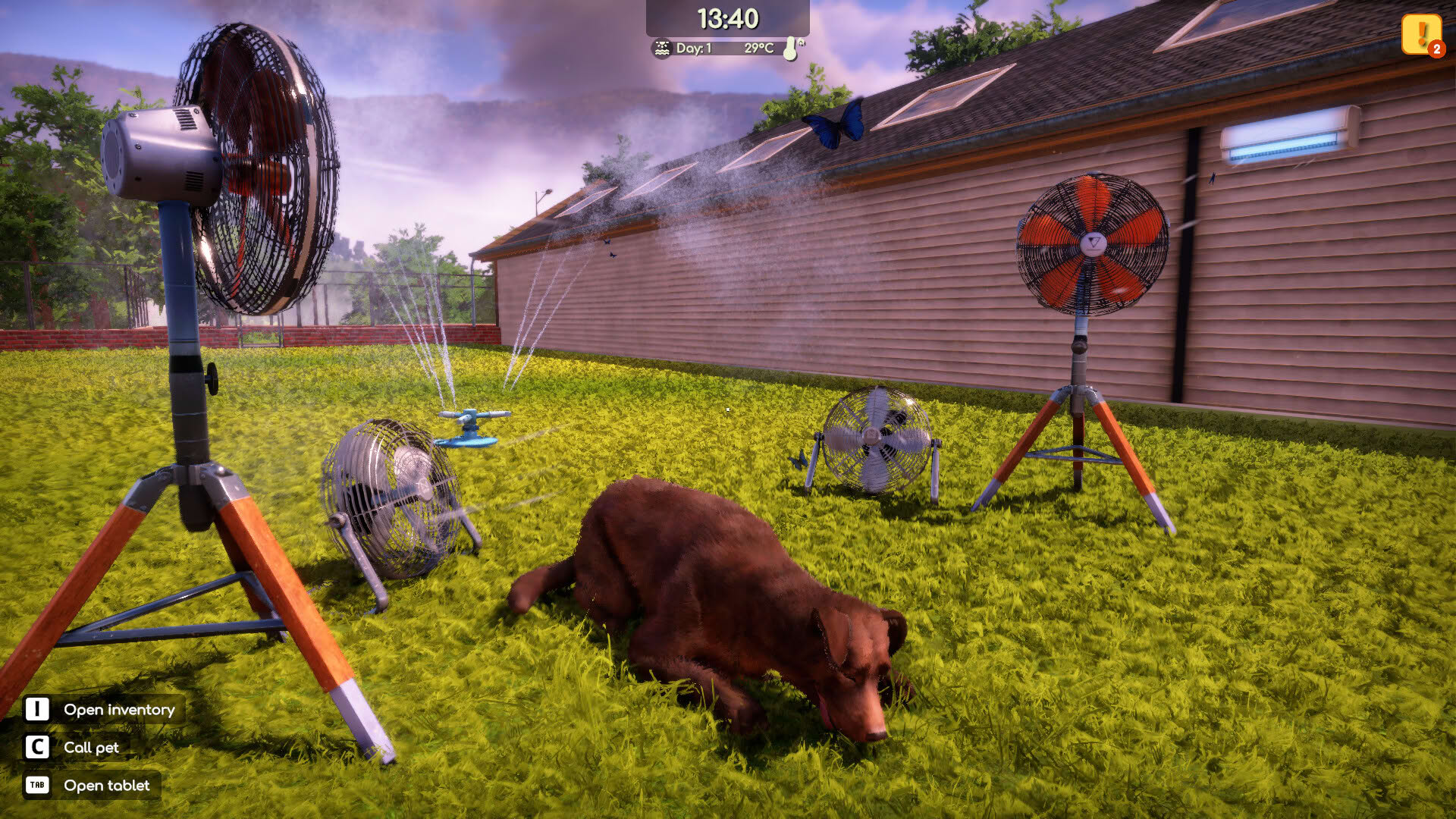 Screenshot for Animal Shelter 2