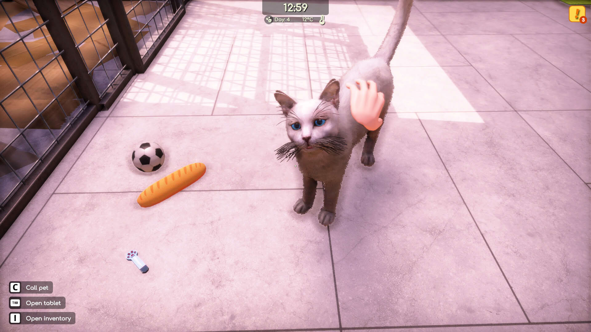 Screenshot for Animal Shelter 2