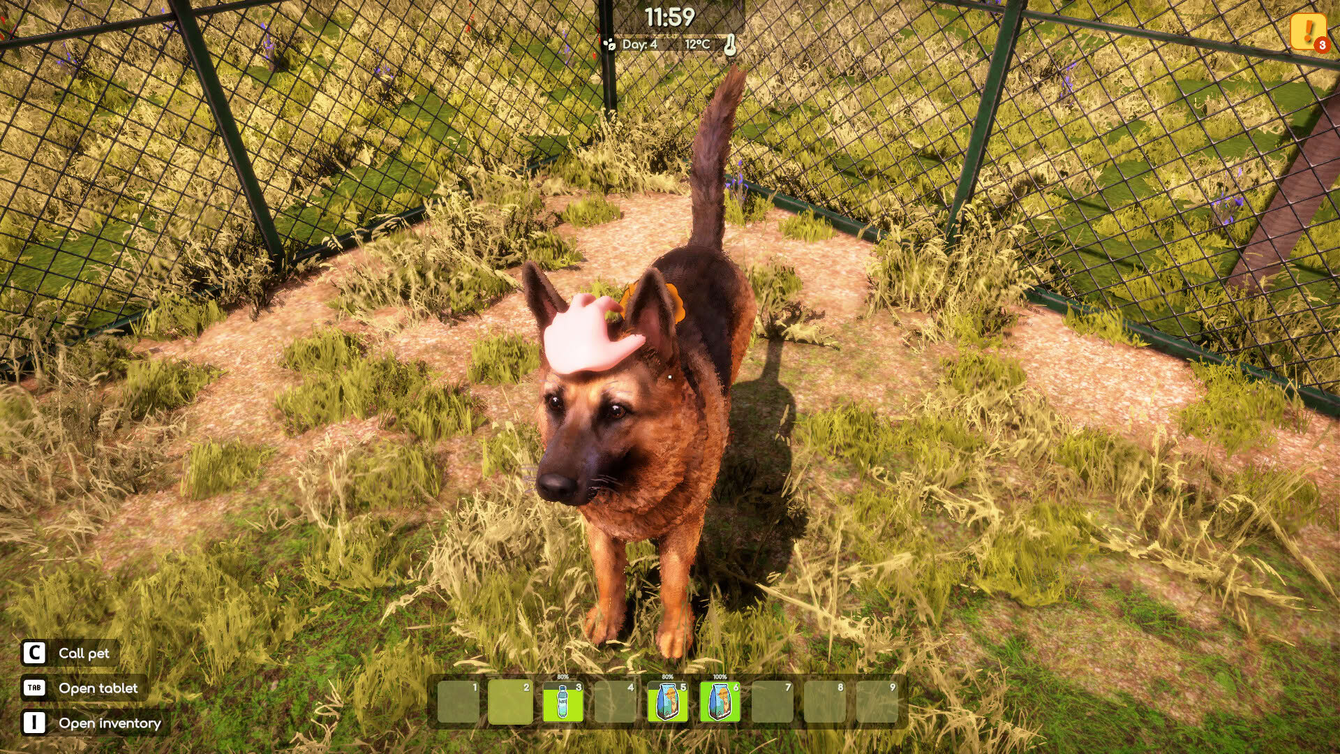 Screenshot for Animal Shelter 2