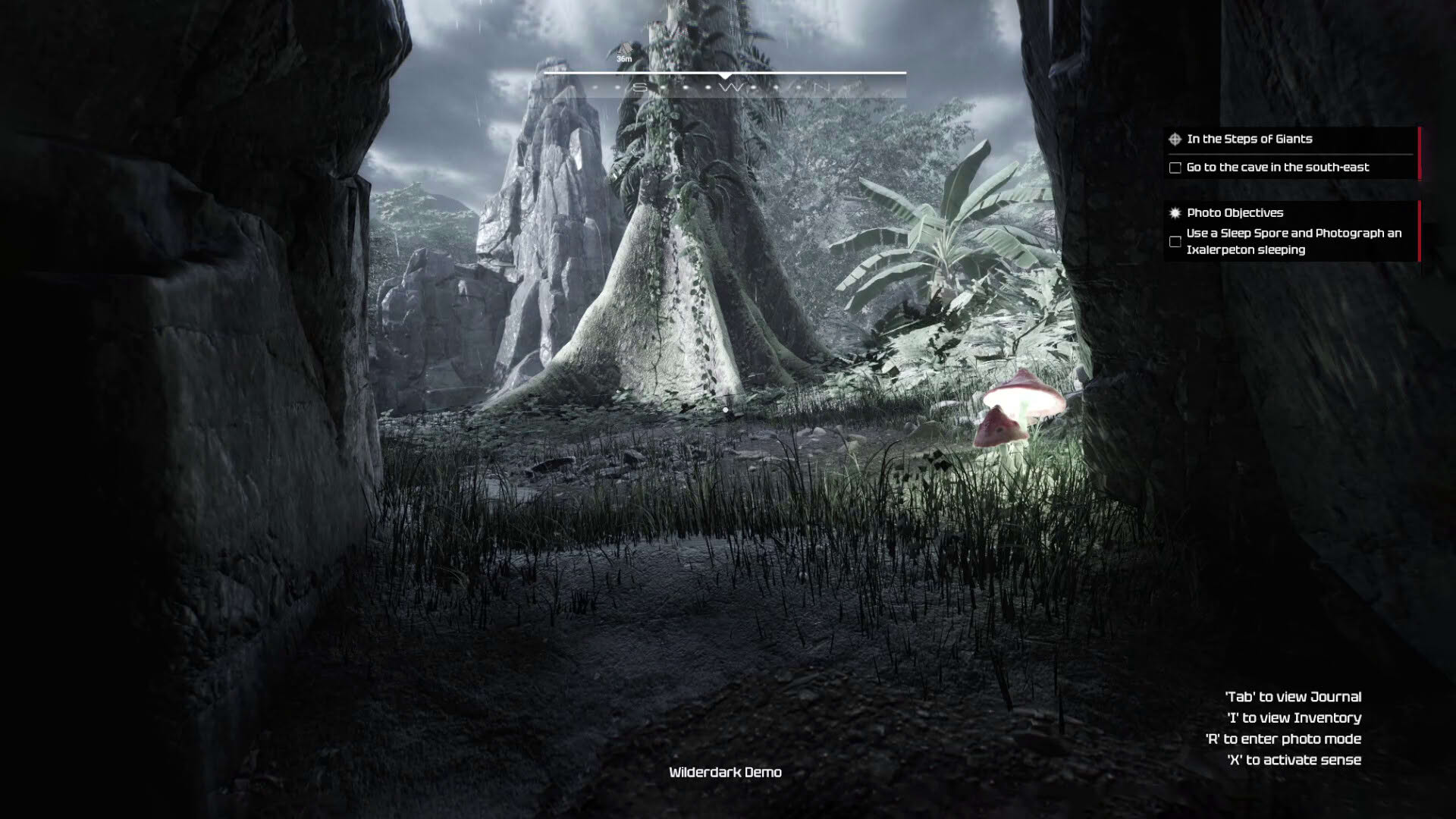 Screenshot for Wilderdark