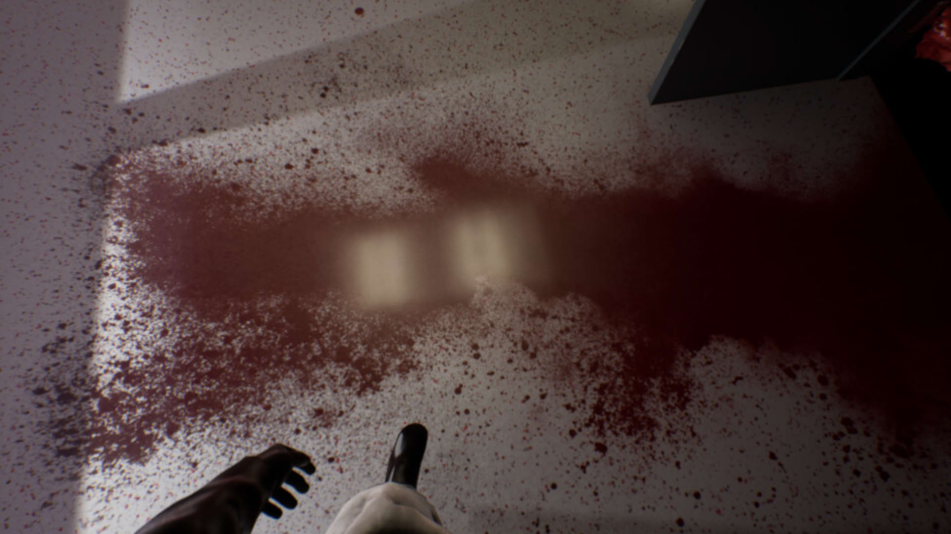 Screenshot for Project 13