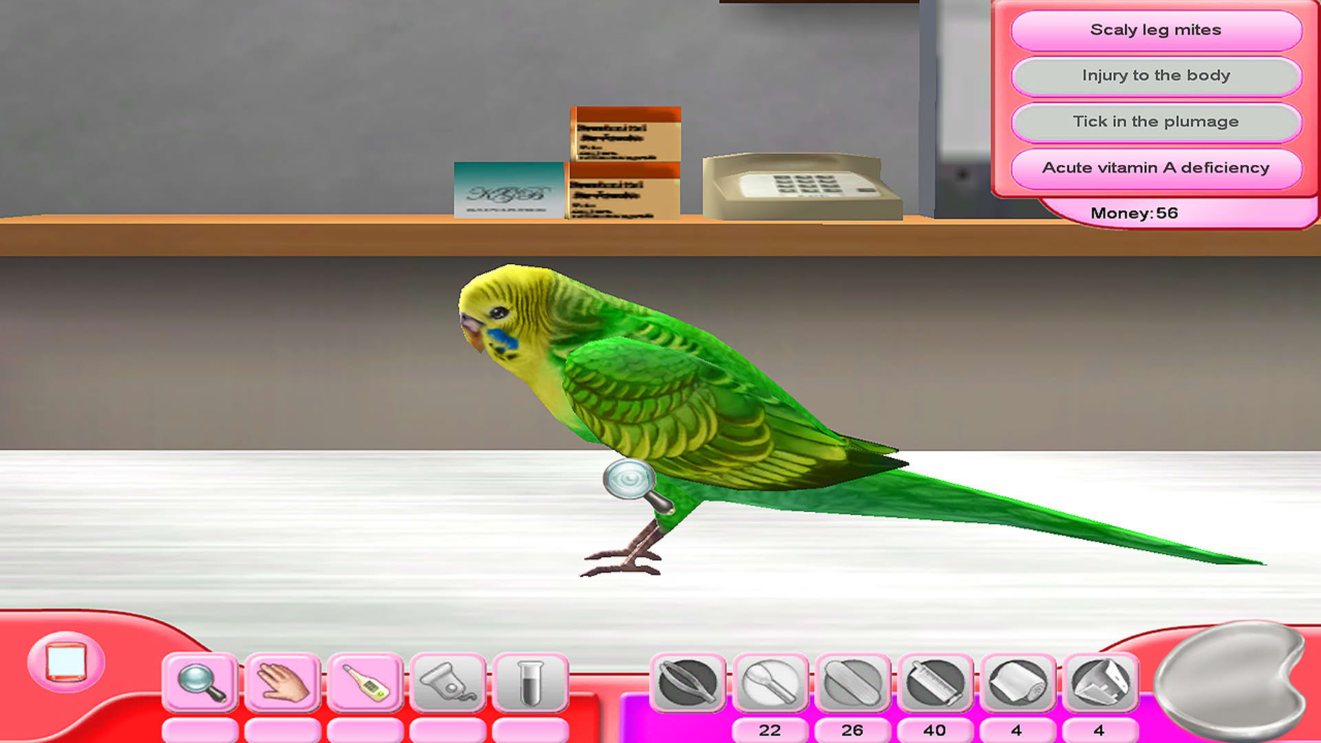 Screenshot for My Vet Practice: In the Country