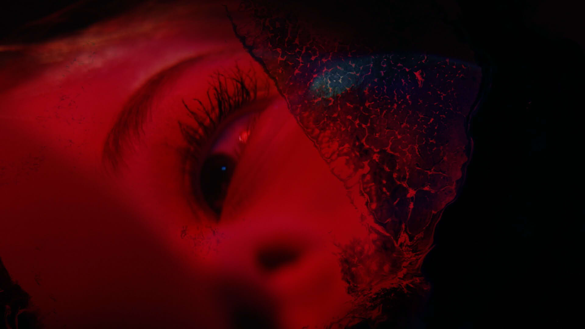 Screenshot for Precognition