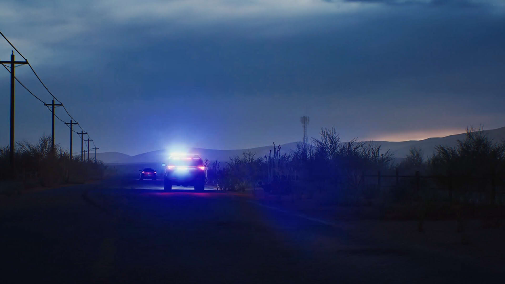 Screenshot for Highway Police Simulator