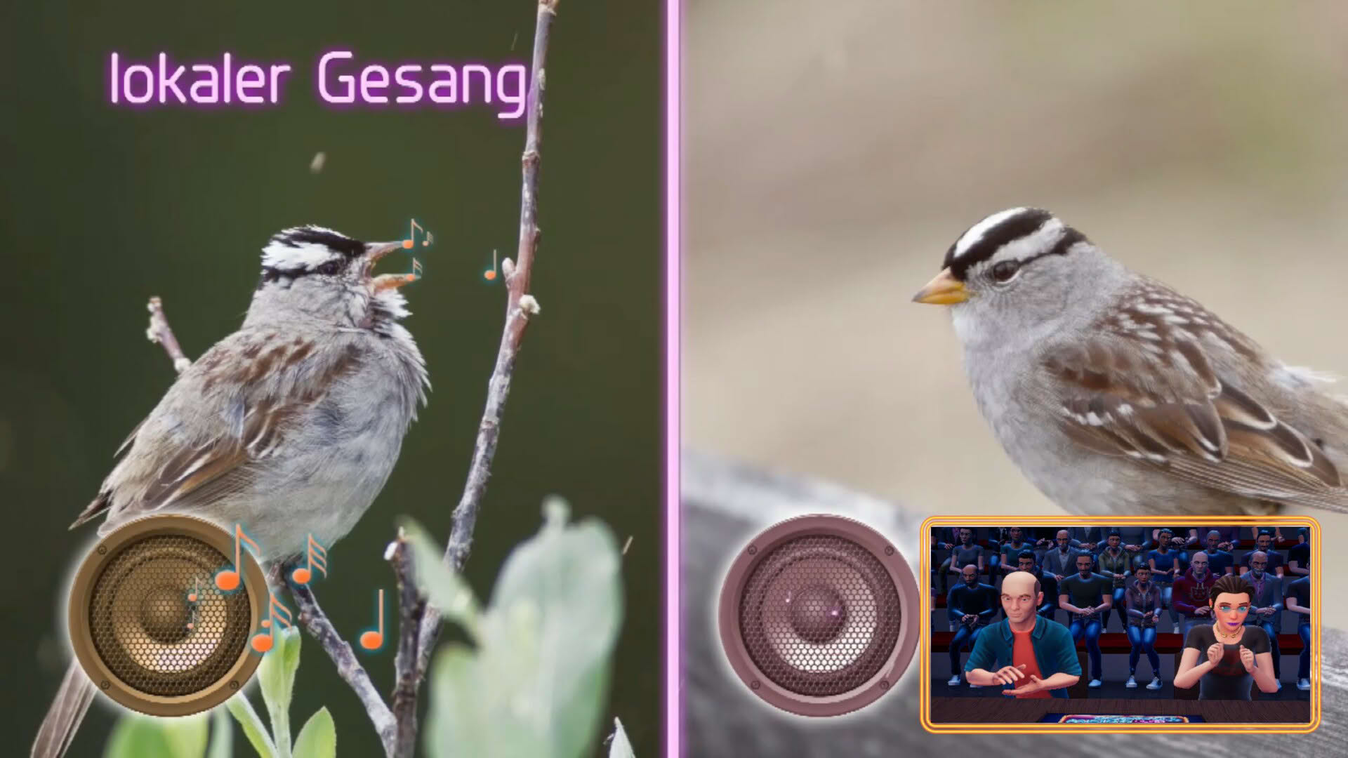 Screenshot for Wer weiß denn sowas?: Das 3. Spiel