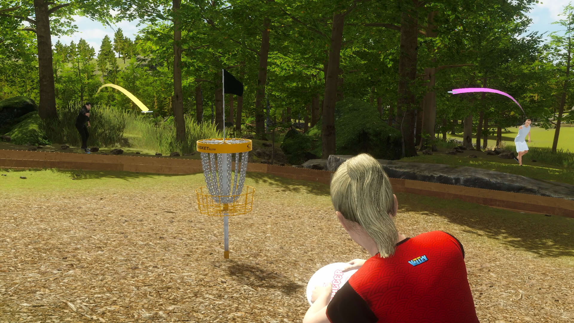 Screenshot for Disc Golf Masters
