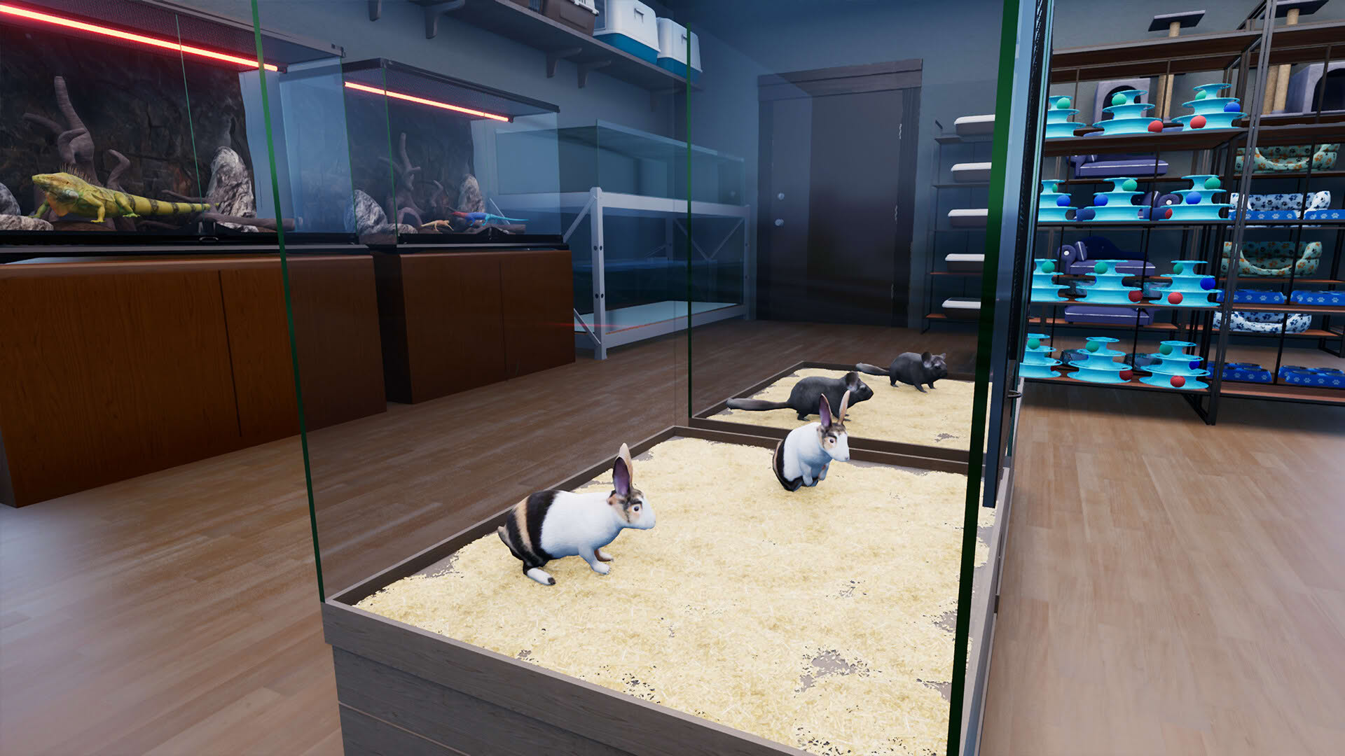 Screenshot for Exotica 2: Pet Shop Simulator