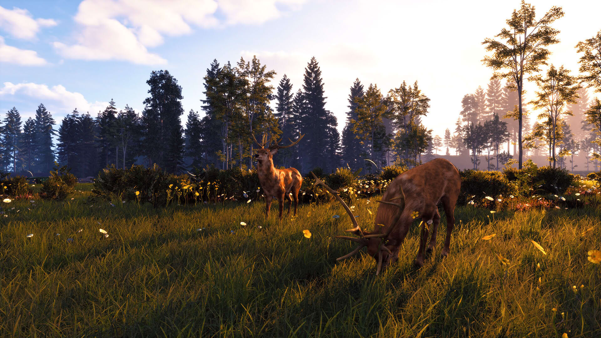 Screenshot for Windstorm: Start of a Great Friendship - Remastered