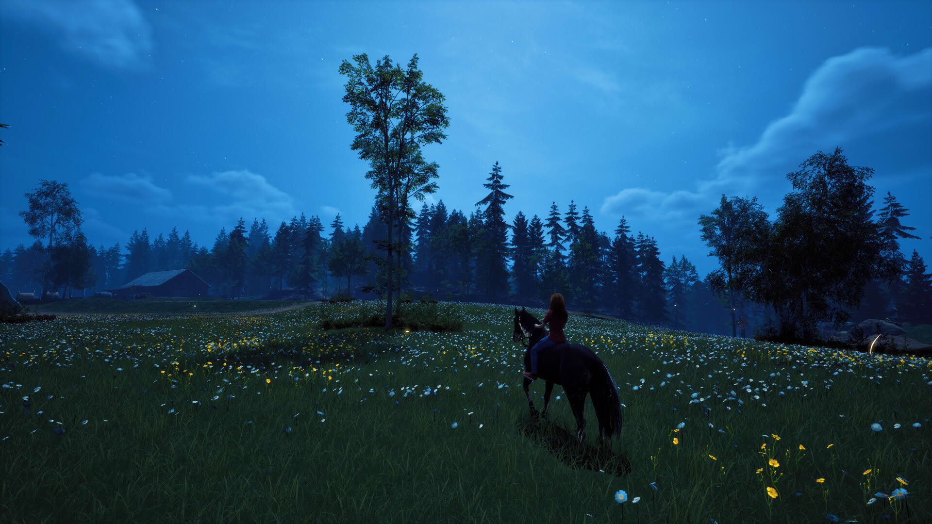 Screenshot for Windstorm: Start of a Great Friendship - Remastered