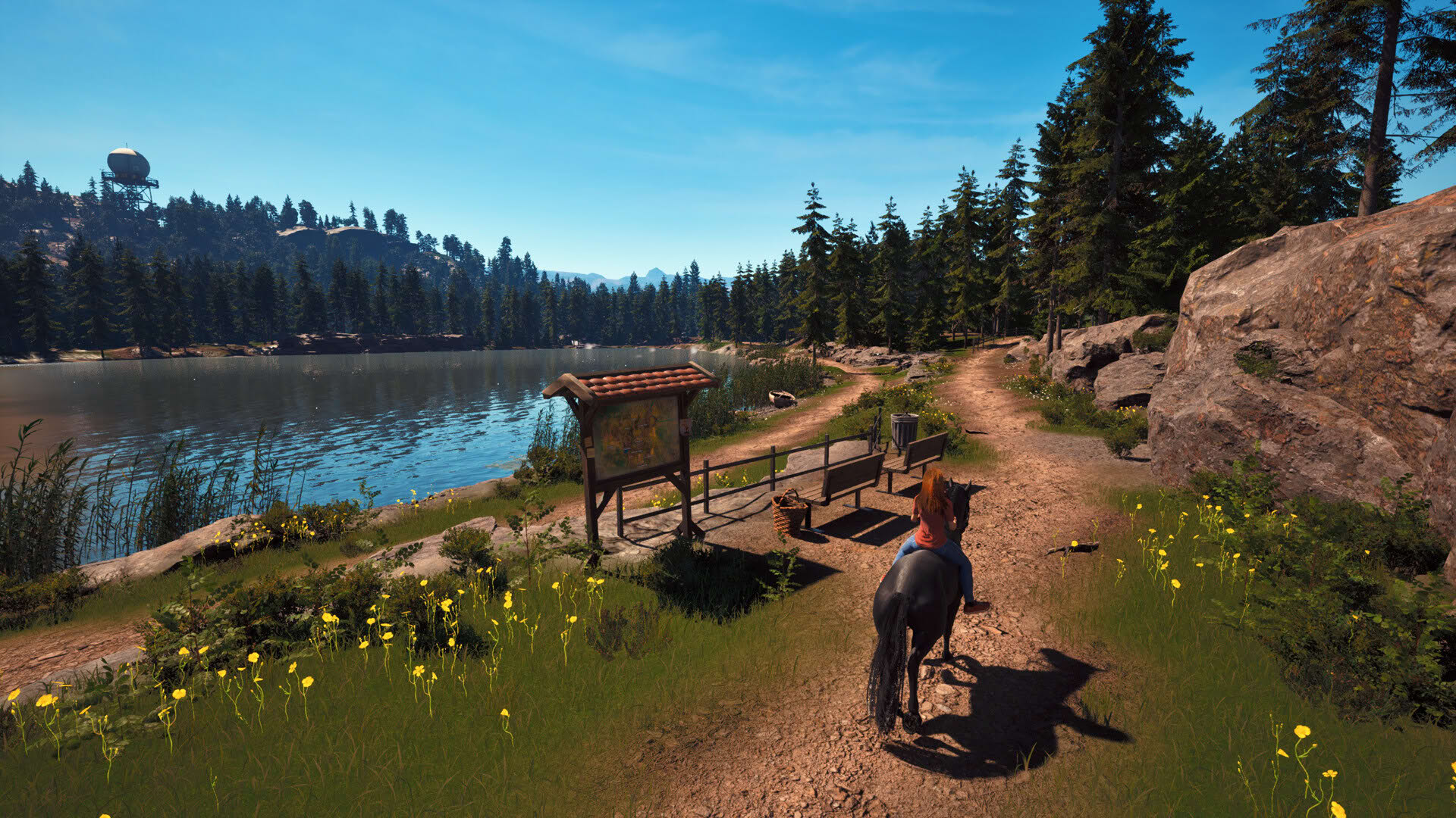 Screenshot for Windstorm: Start of a Great Friendship - Remastered