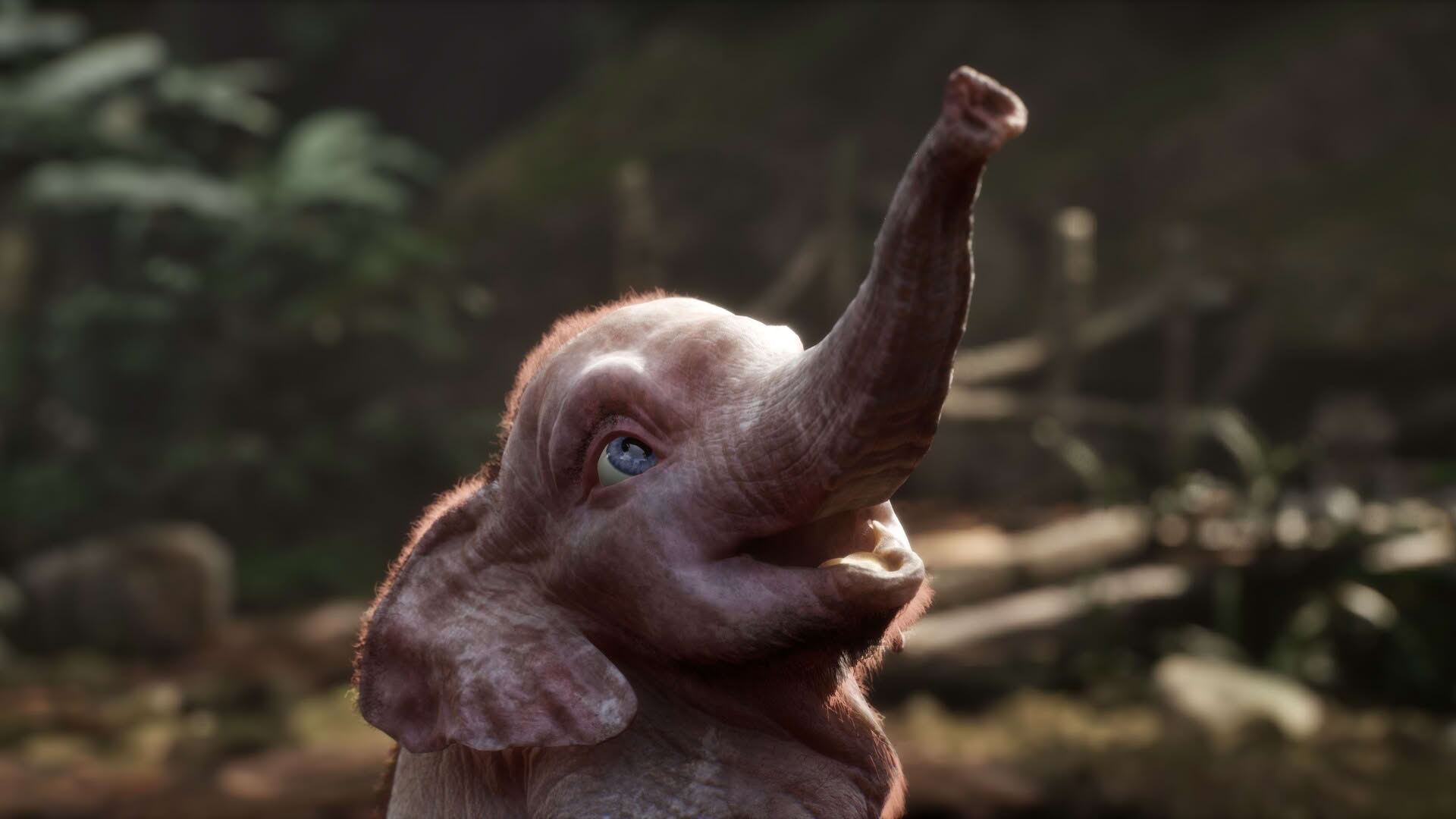 Screenshot for Hanno: A Magical Tale
