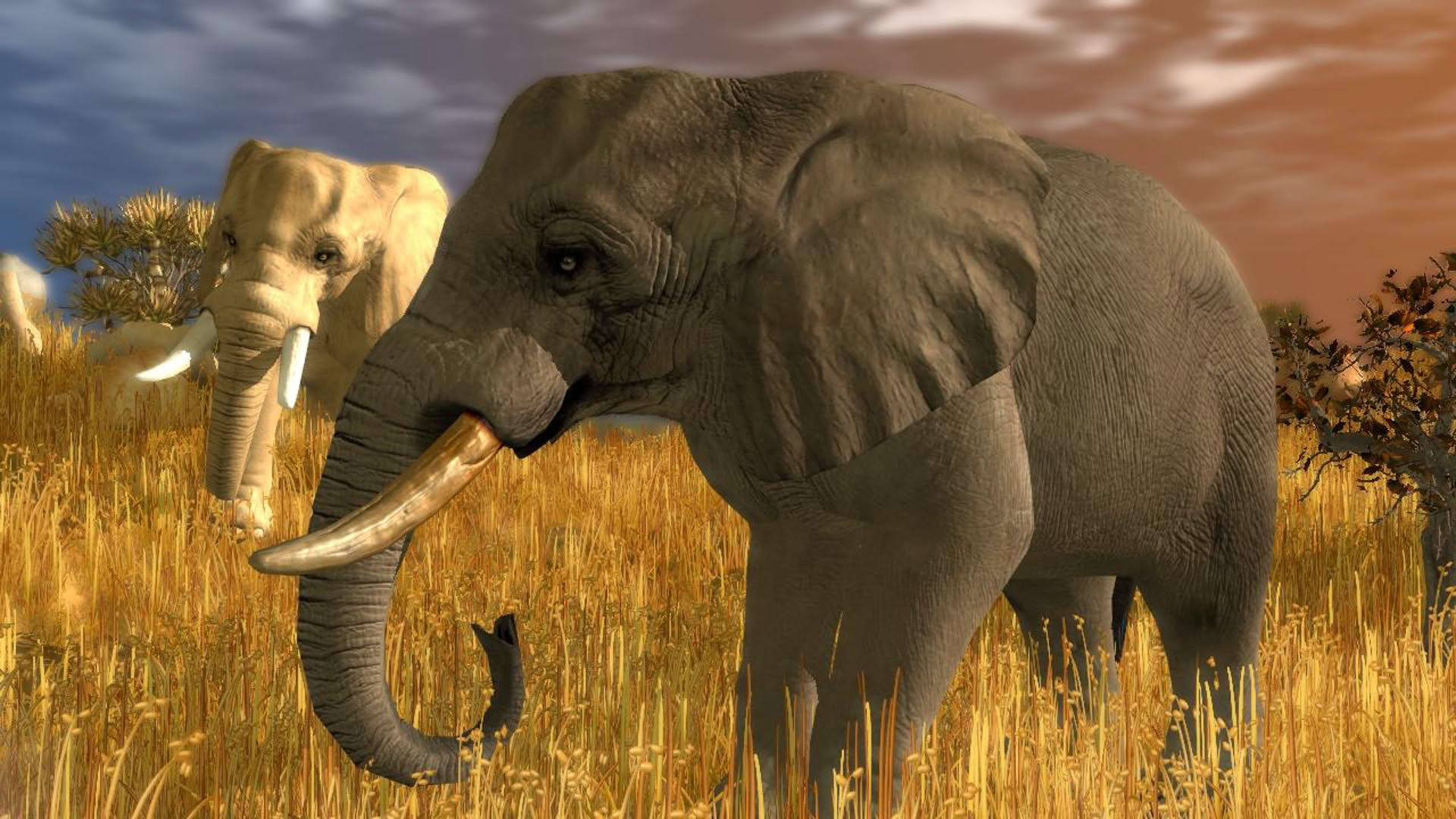 Screenshot for Wildlife Park 3