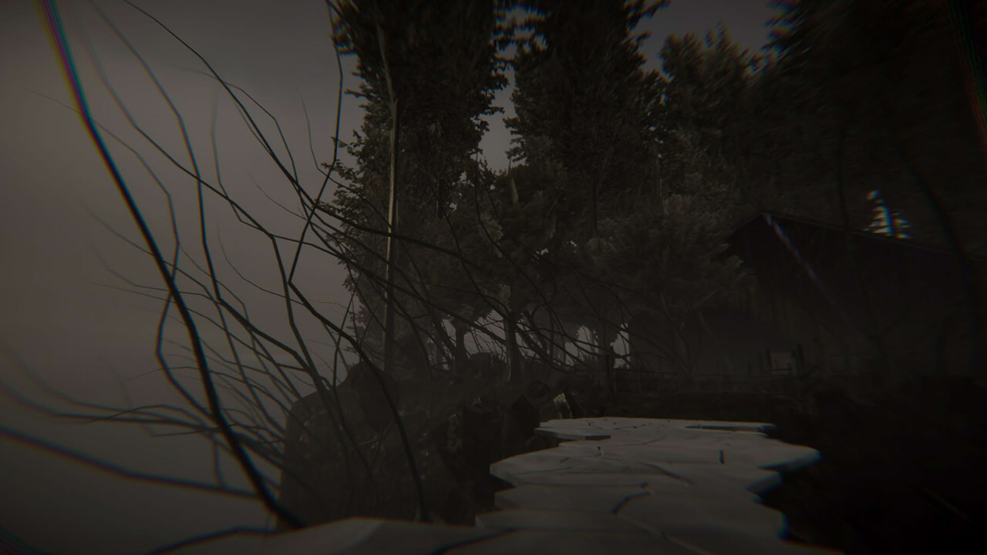 Screenshot for Dye The Bunny 2