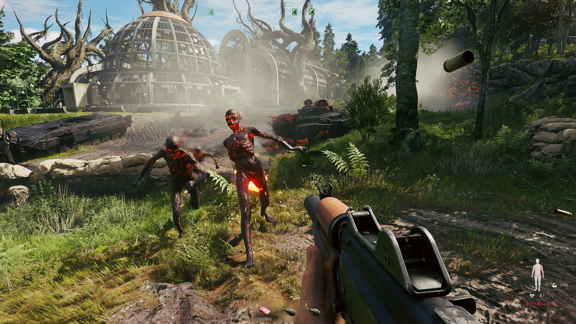 Screenshot for Active Matter