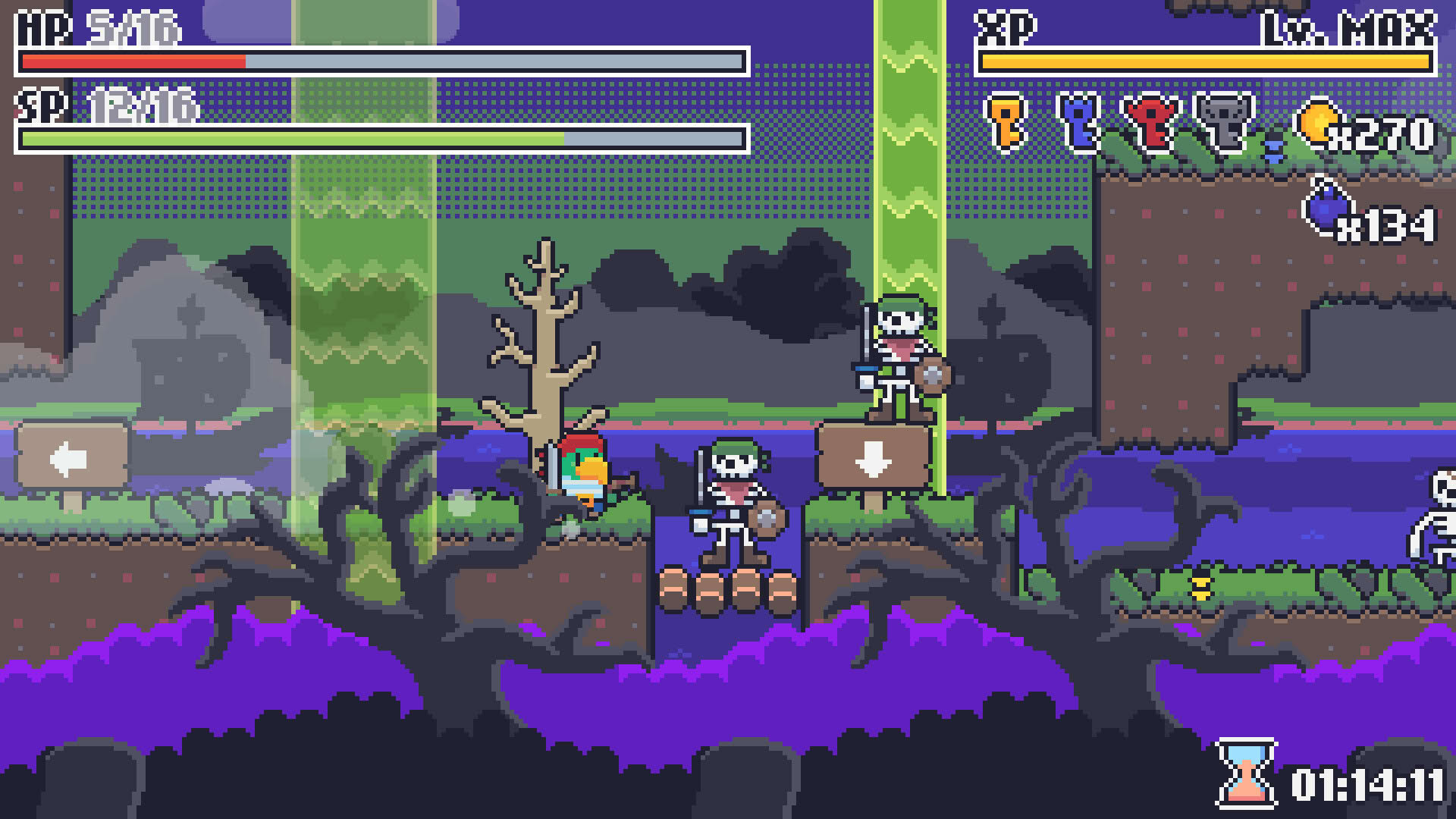 Screenshot for Beaked Buccaneer