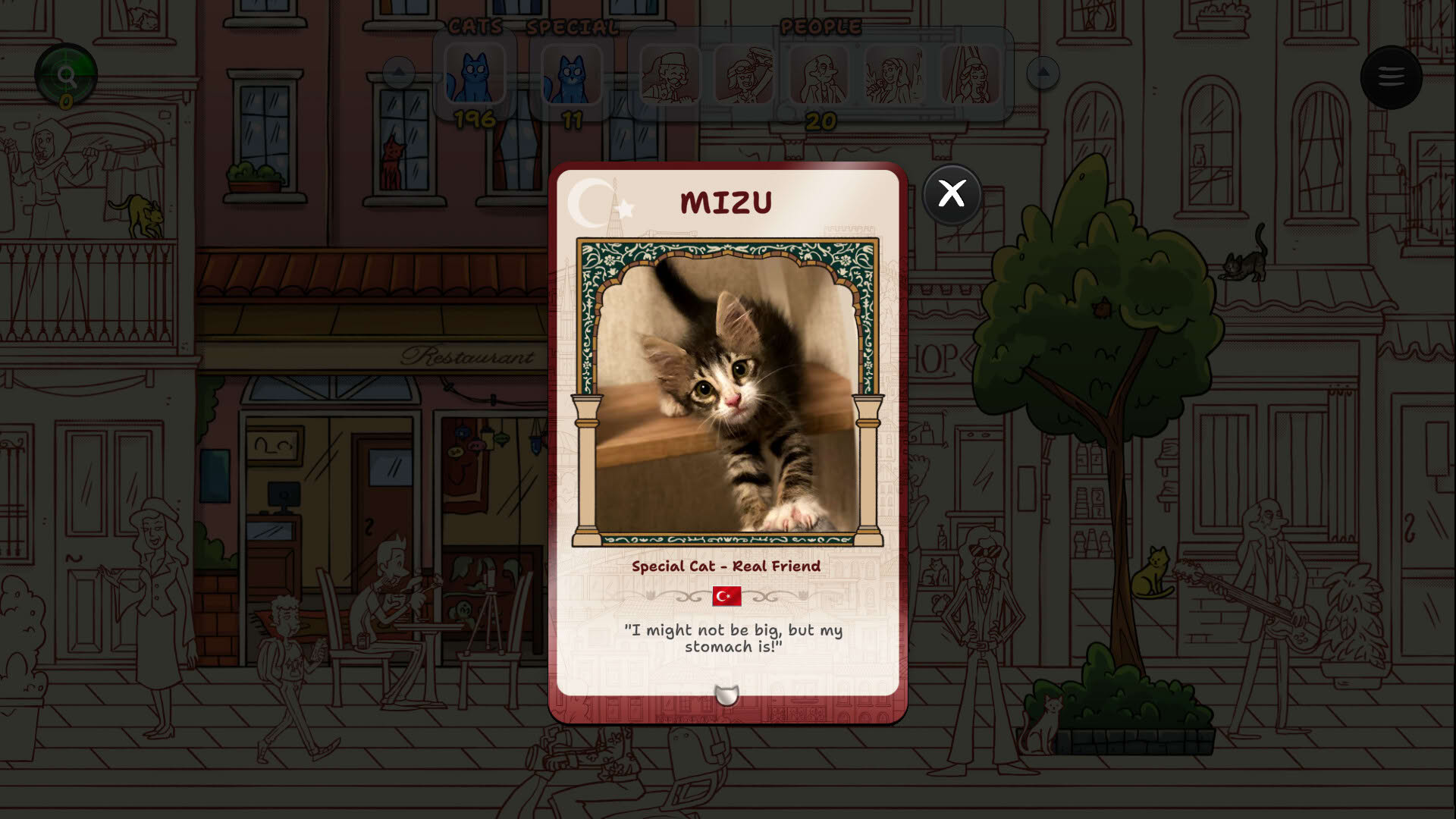 Screenshot for Hidden Cats in Istanbul