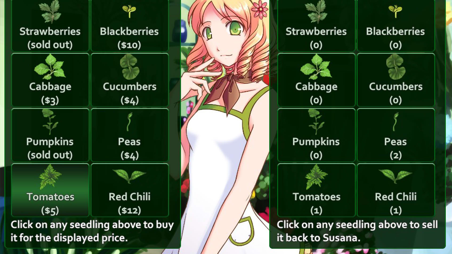 Screenshot for Flower Shop: Summer In Fairbrook